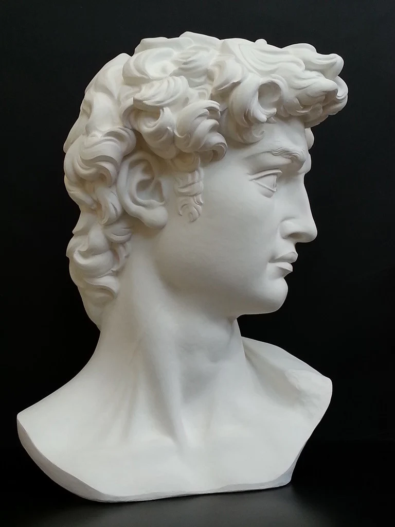 David Reduction Bust - Item #96 - Image 4