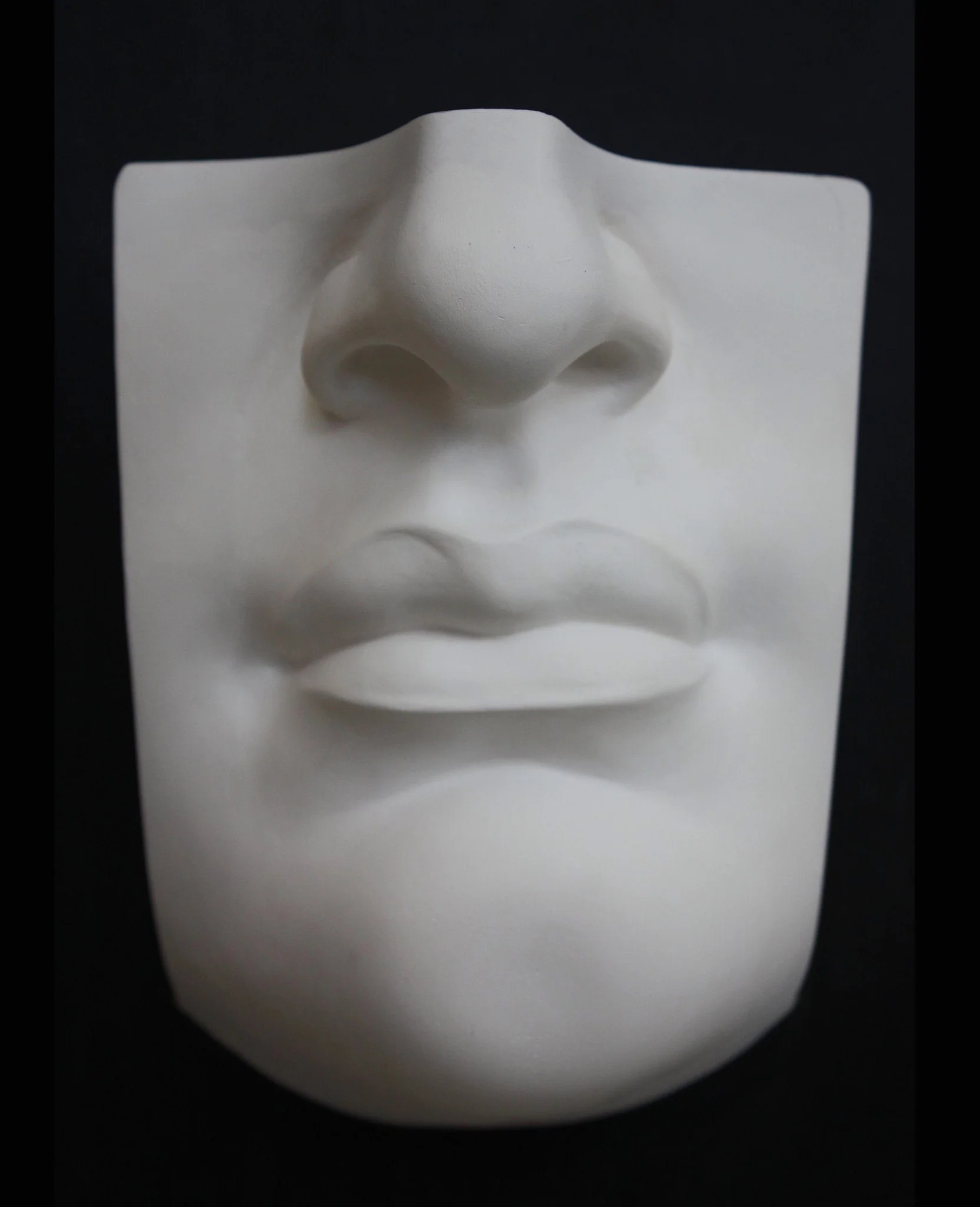 David Reduction Detail - Lower Face - Item #772