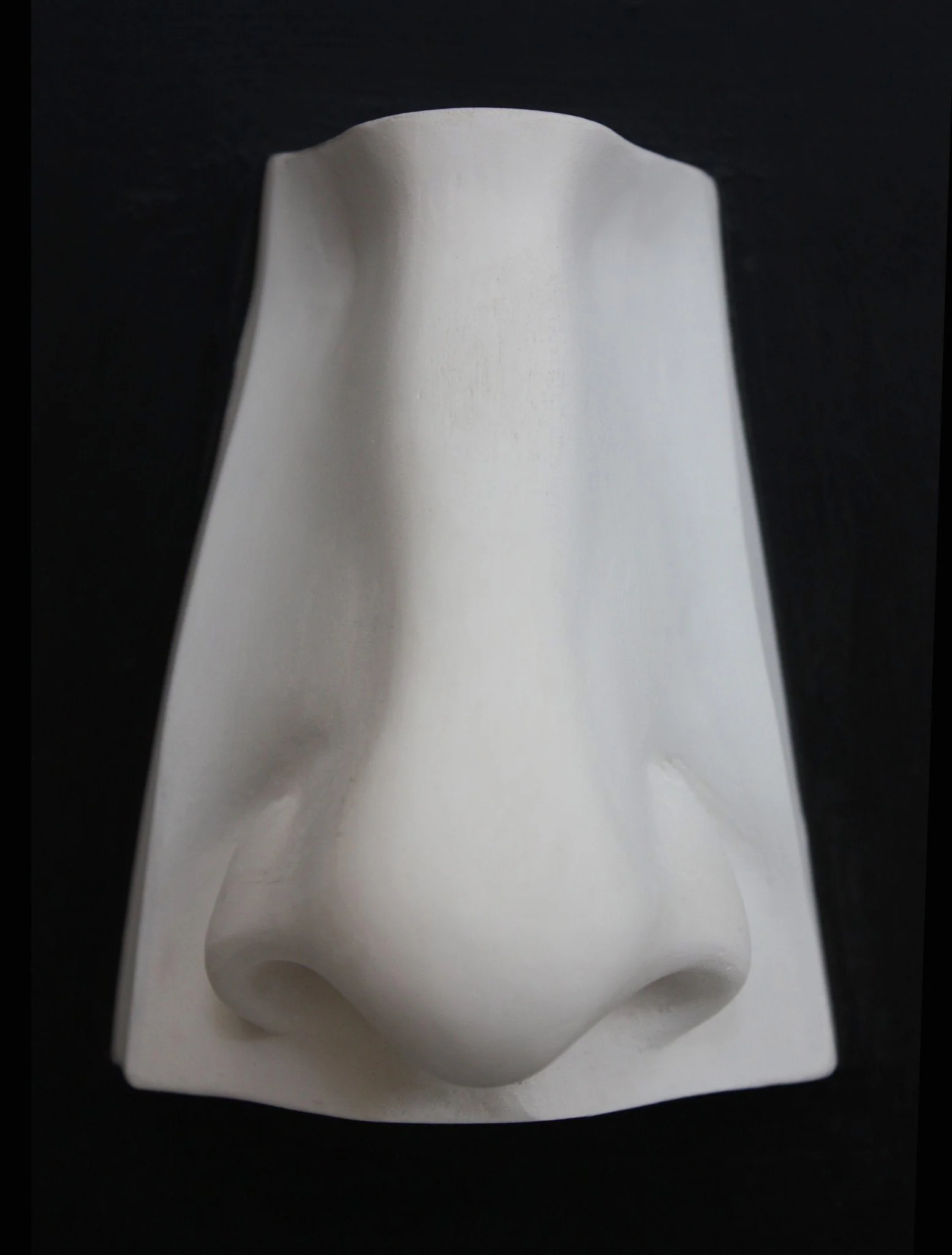 David Reduction Detail - Nose - Item #774