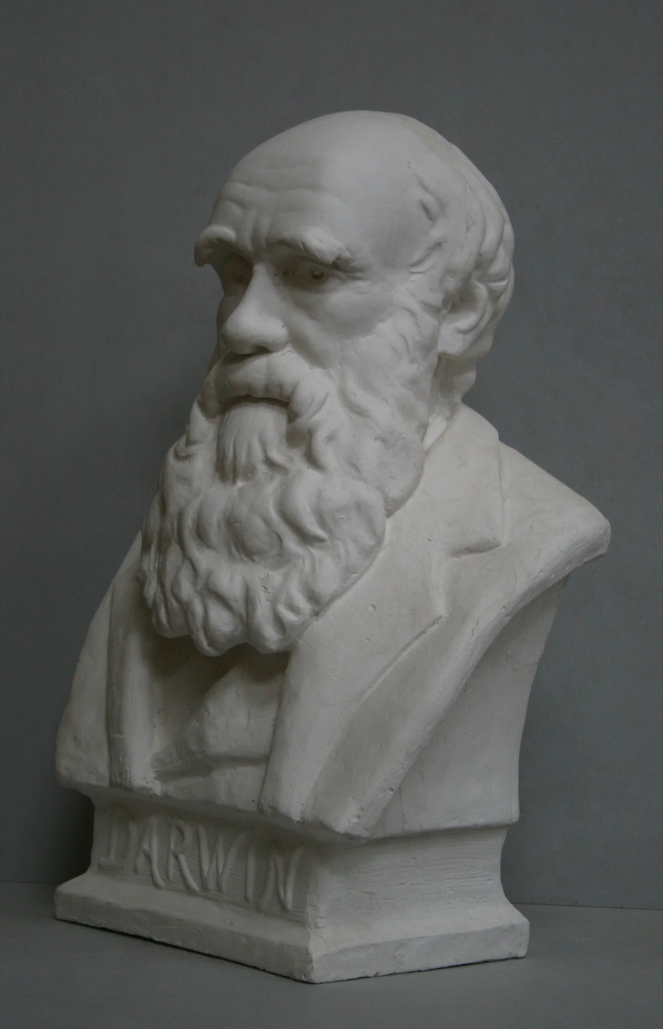 Charles Darwin - Item #722 - Image 2