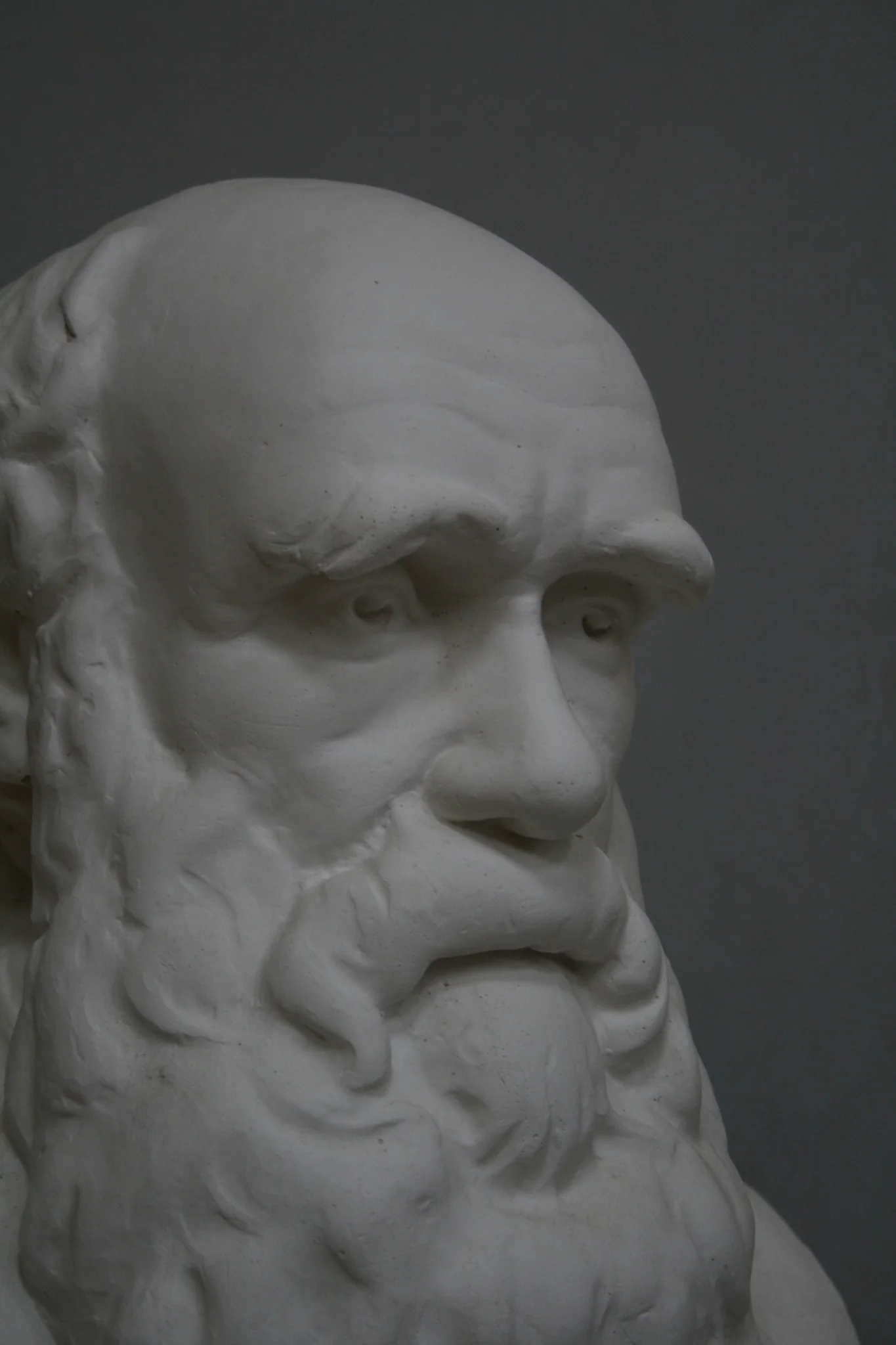 Charles Darwin - Item #722 - Image 3