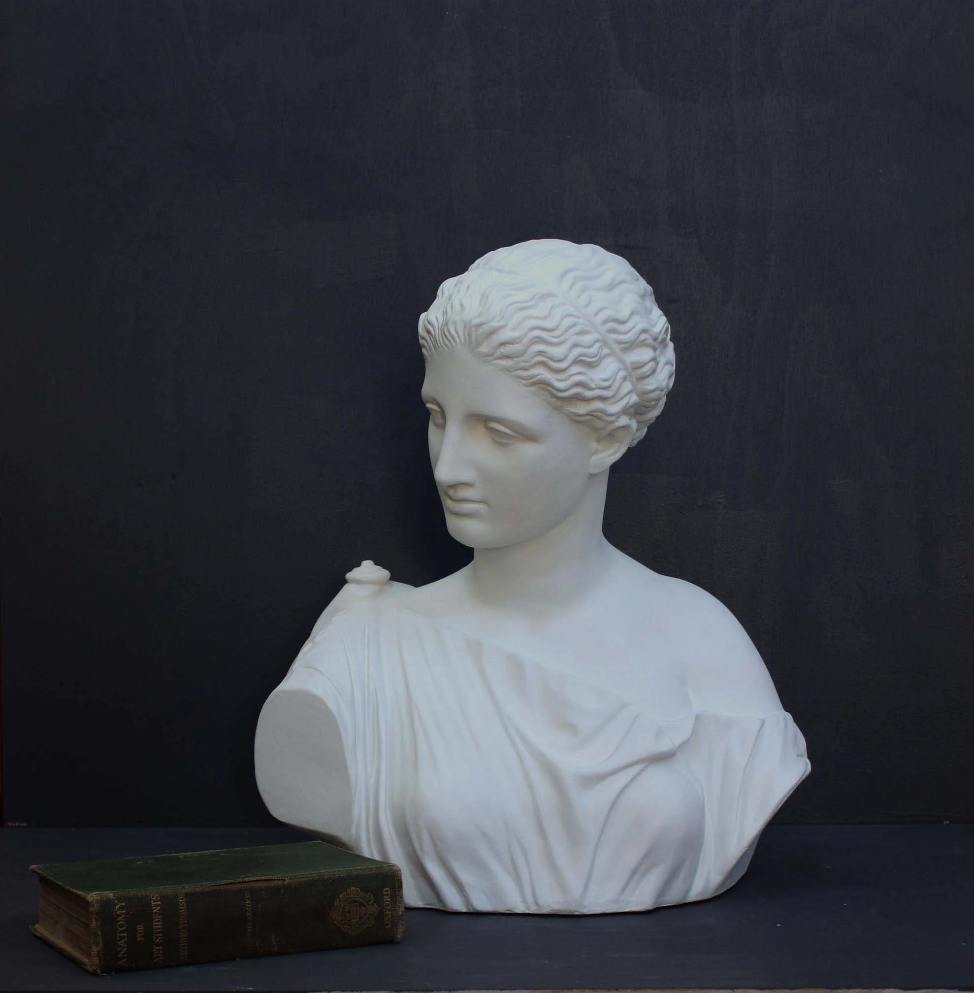 Diana Robing Bust - Item #408 - Image 4