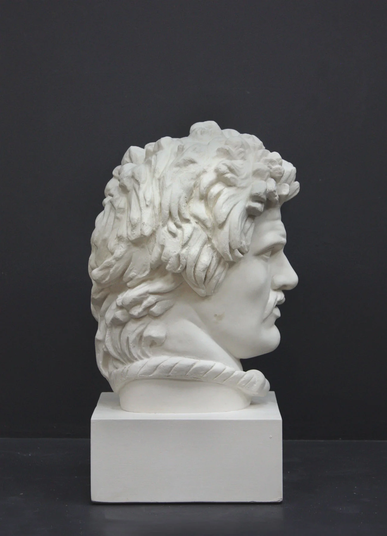 Dying Gaul Head - Item #411 - Image 3