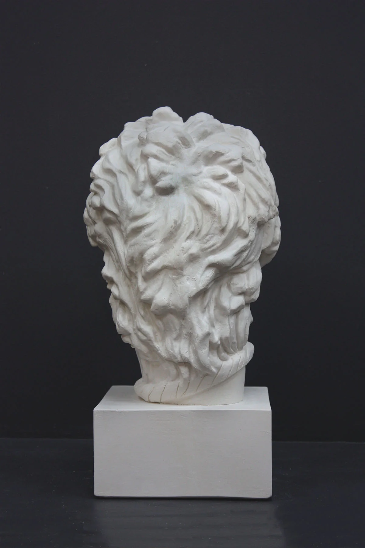 Dying Gaul Head - Item #411 - Image 4