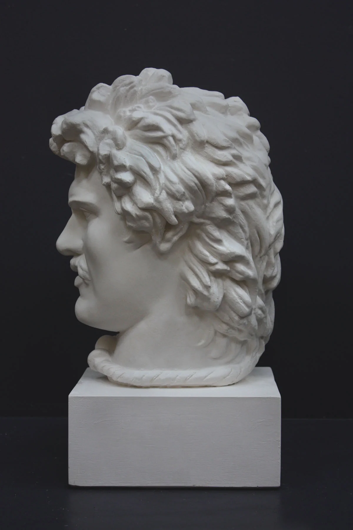 Dying Gaul Head - Item #411 - Image 5