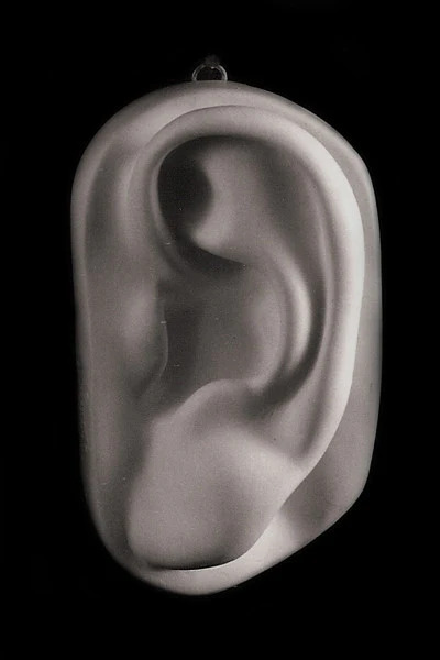 David Full-Size Detail - Ear - Item #149