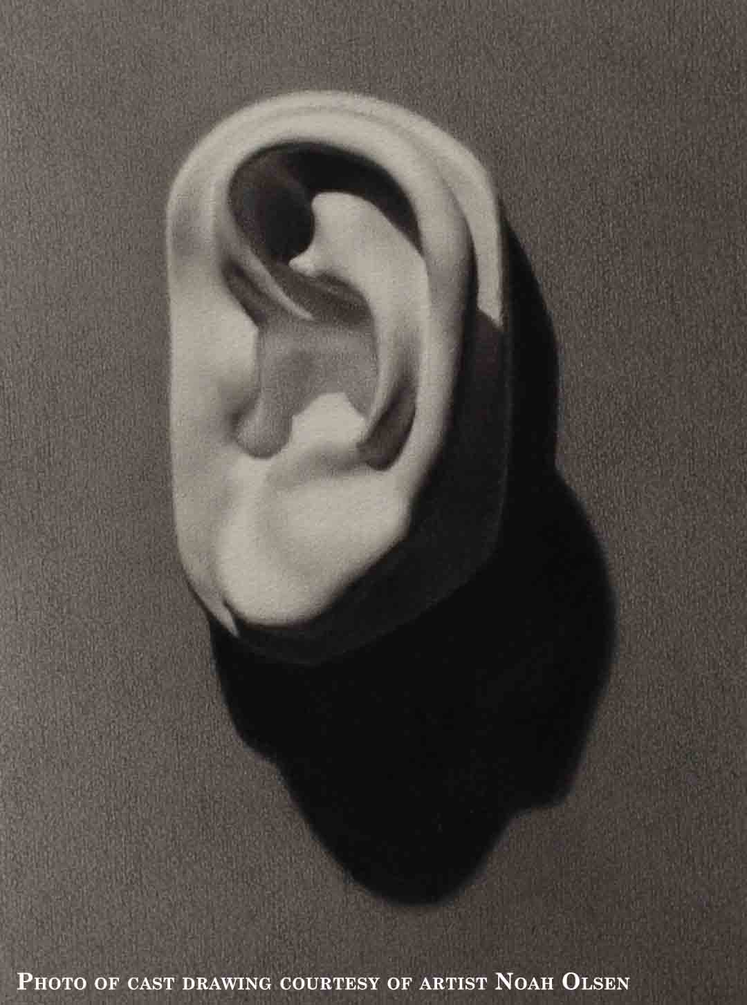 David Full-Size Detail - Ear - Item #149 - Image 2