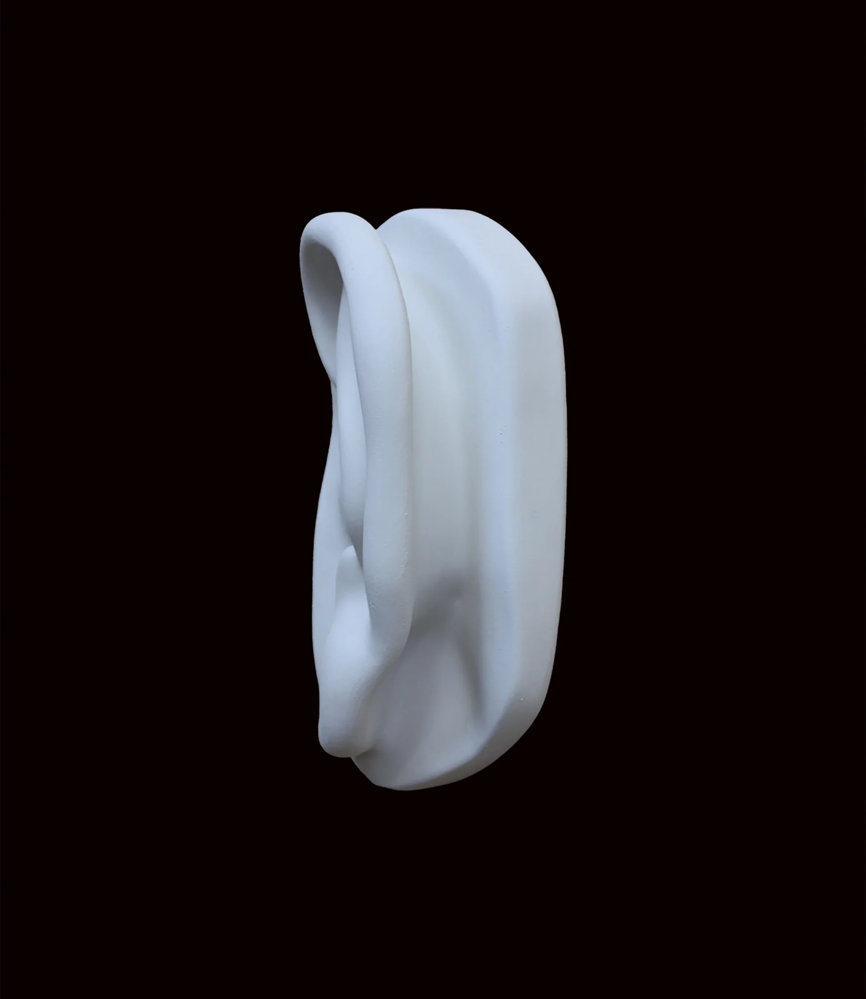 David Full-Size Detail - Ear - Item #149 - Image 3