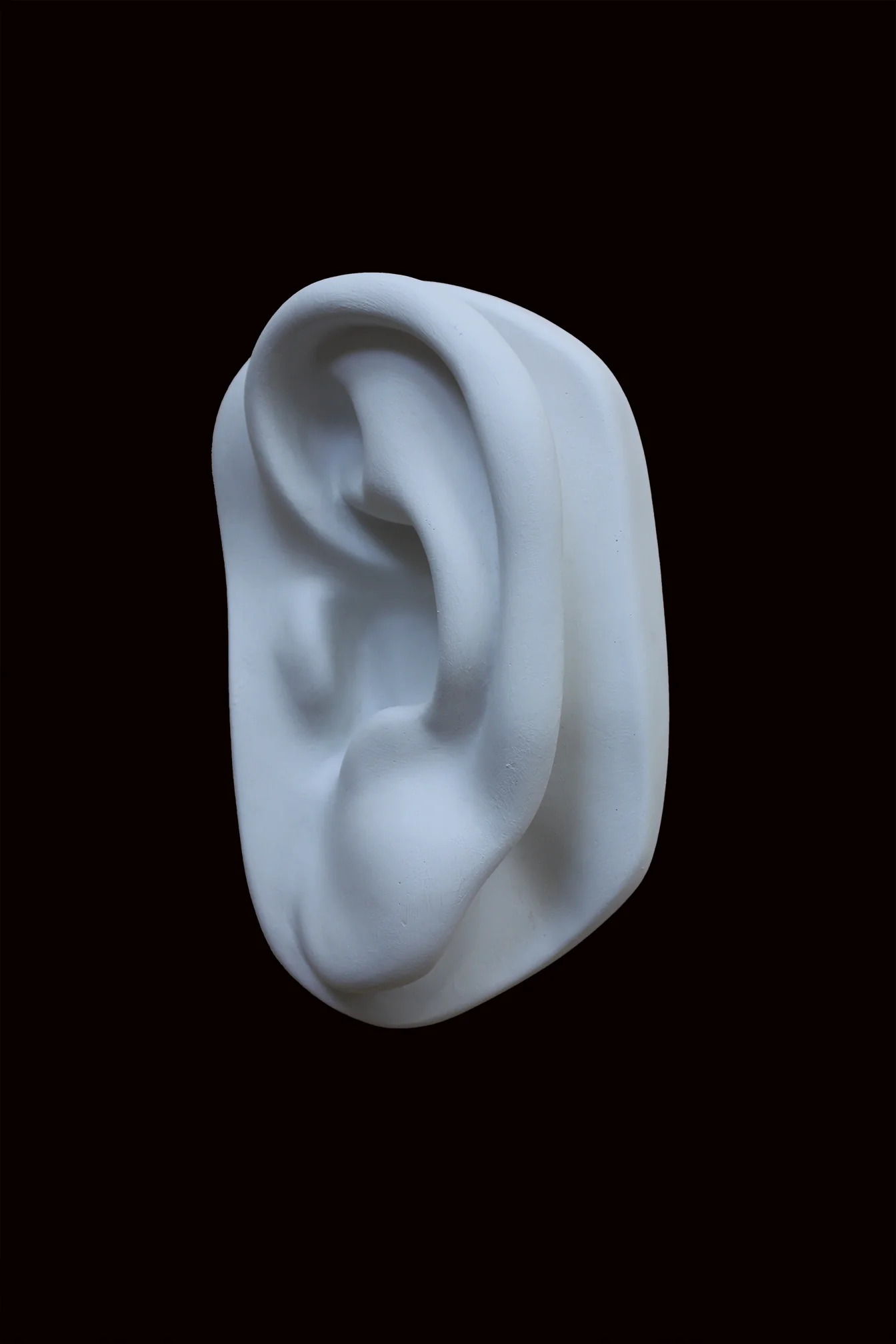 David Full-Size Detail - Ear - Item #149 - Image 4
