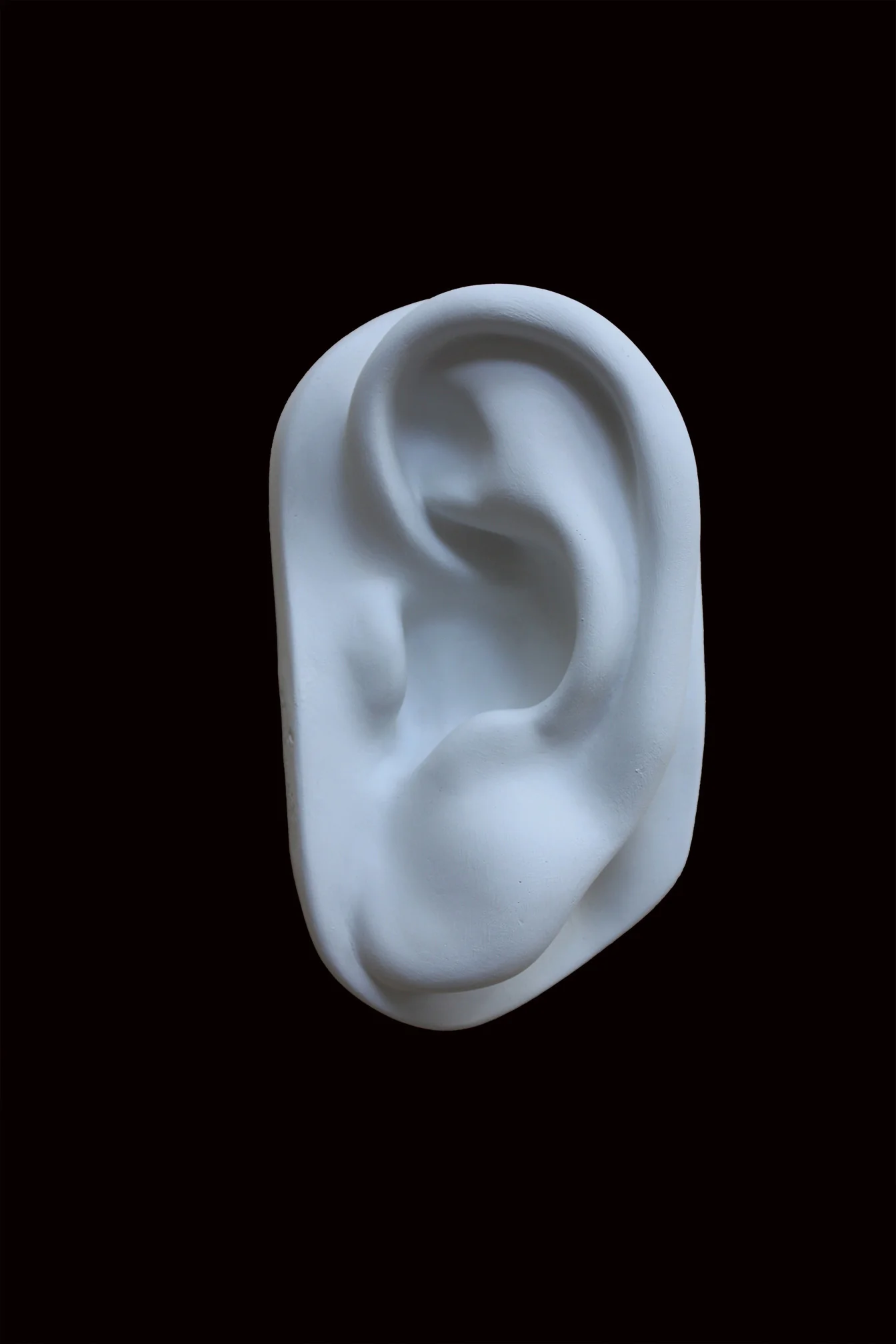 David Full-Size Detail - Ear - Item #149 - Image 5