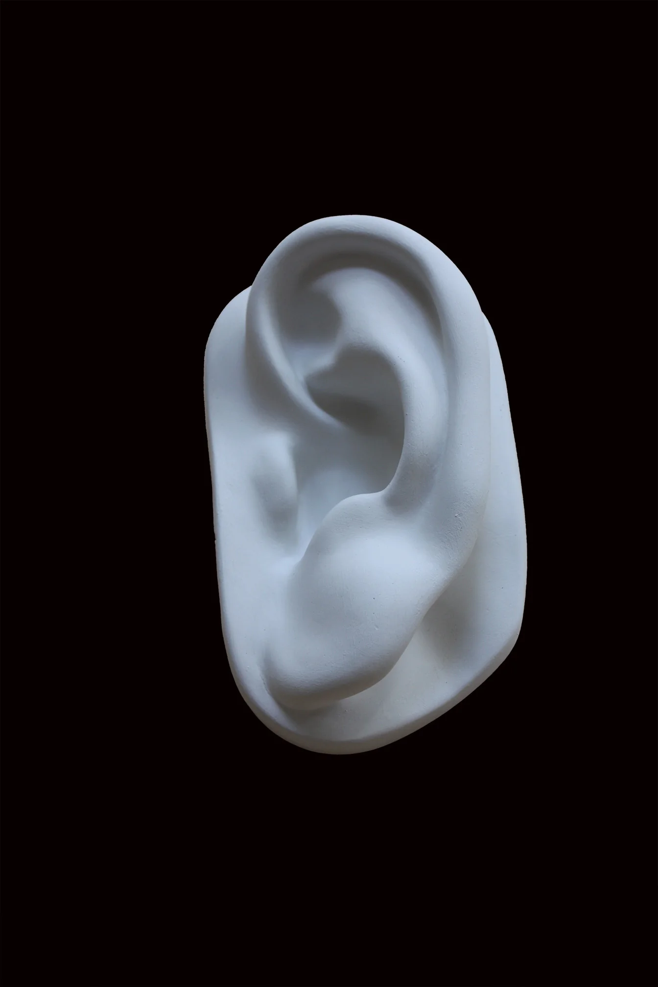 David Full-Size Detail - Ear - Item #149 - Image 6