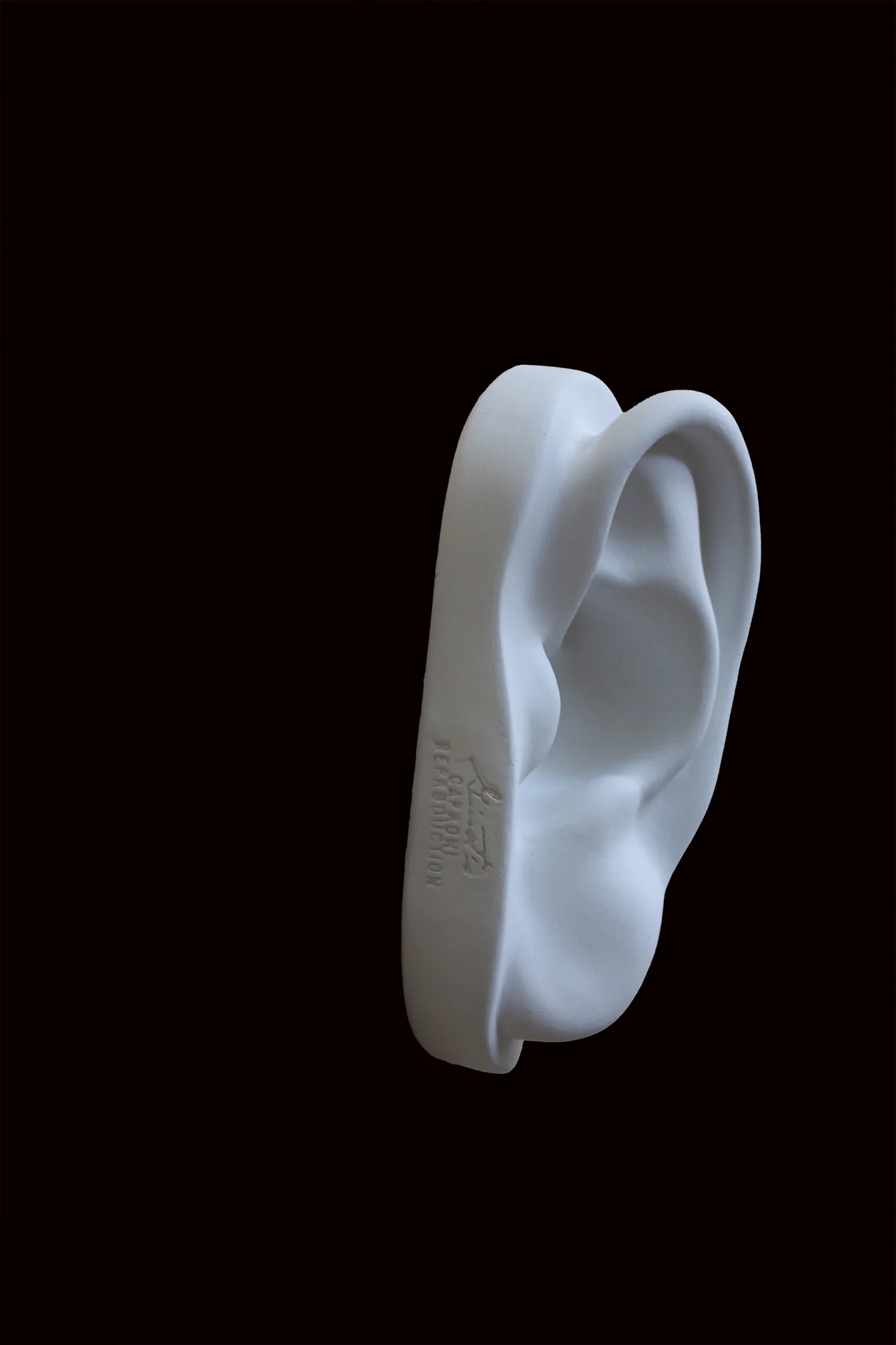 David Full-Size Detail - Ear - Item #149 - Image 8