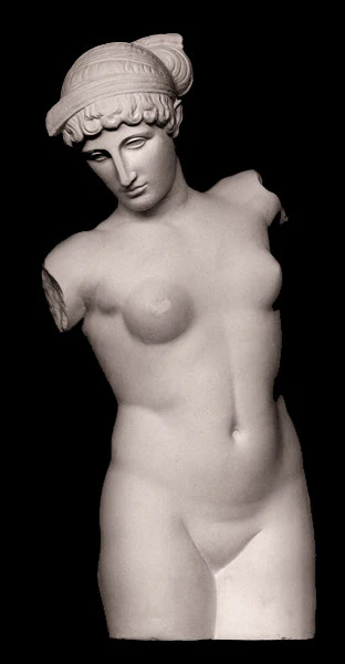 Esquiline Venus - Item #122 - Image 2