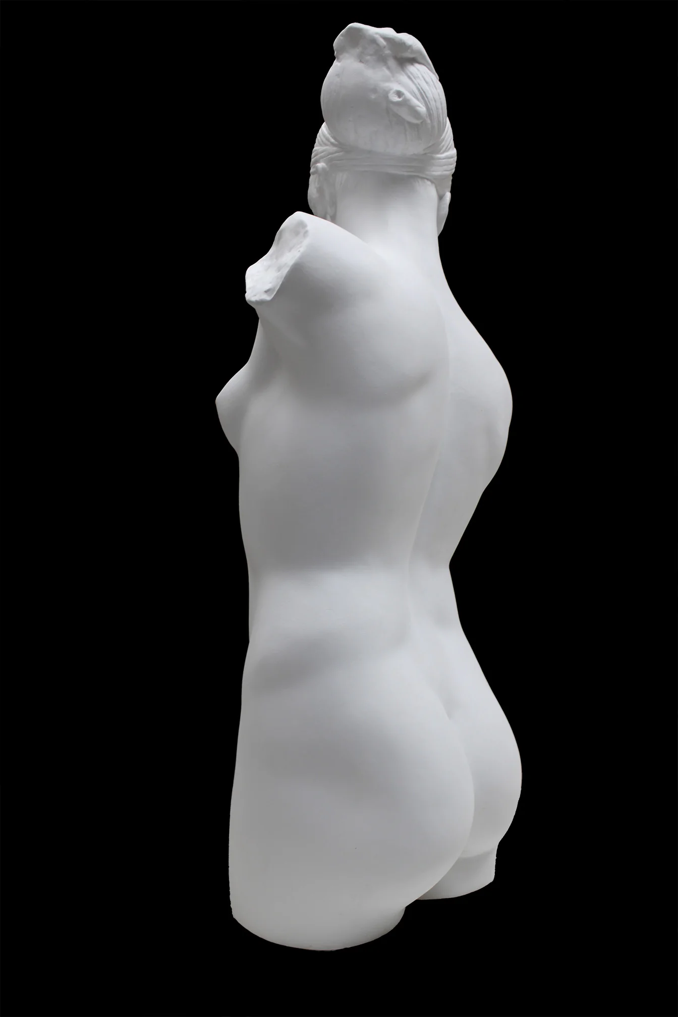 Esquiline Venus - Item #122 - Image 5