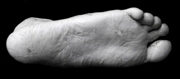 Female Foot, From Nature - Item #808 - Image 2