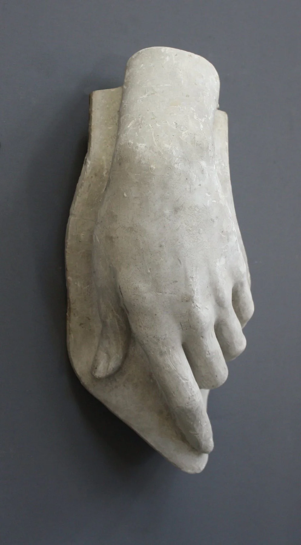 Female Hand - Item #611
