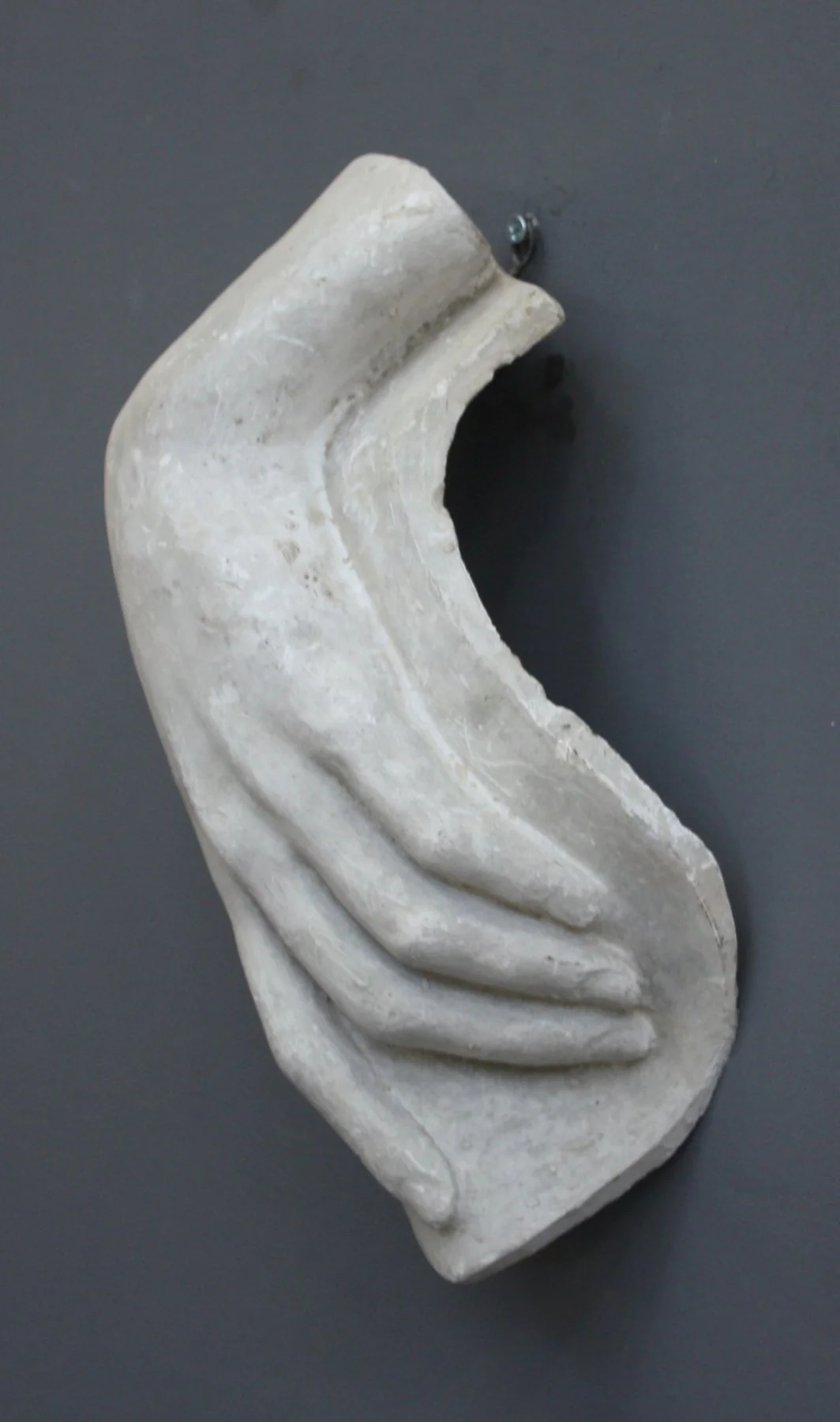 Female Hand - Item #611 - Image 3