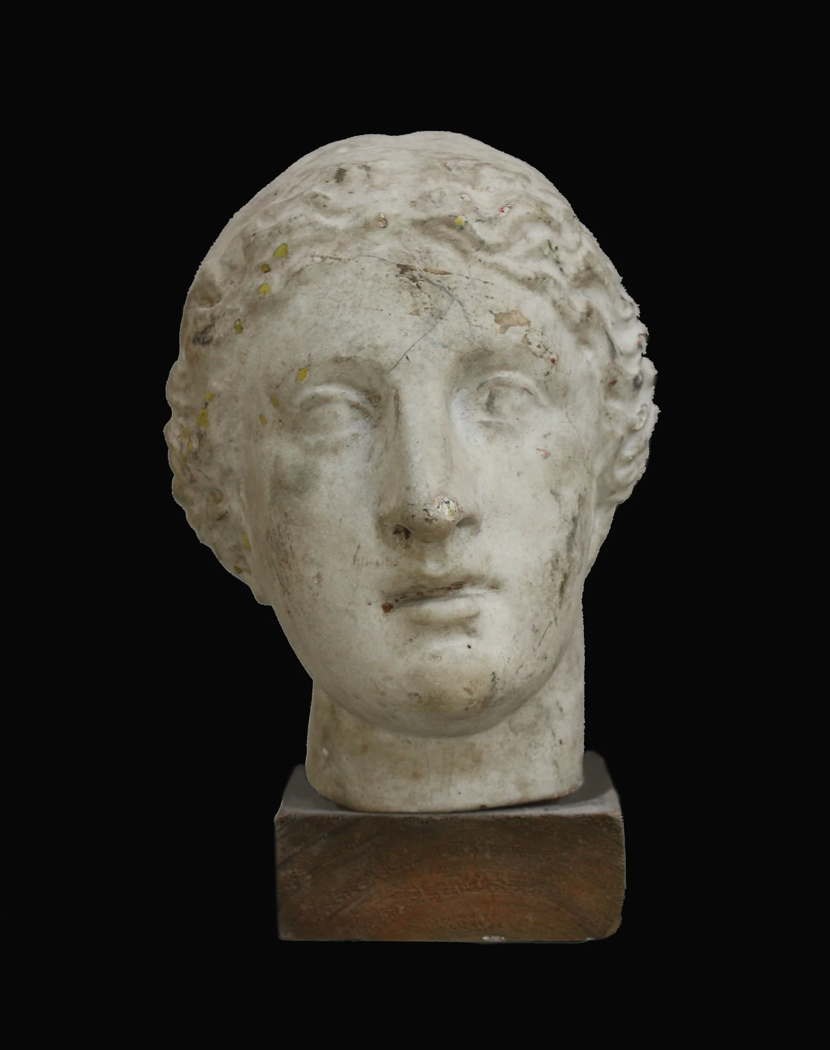 Female Head - Item #669
