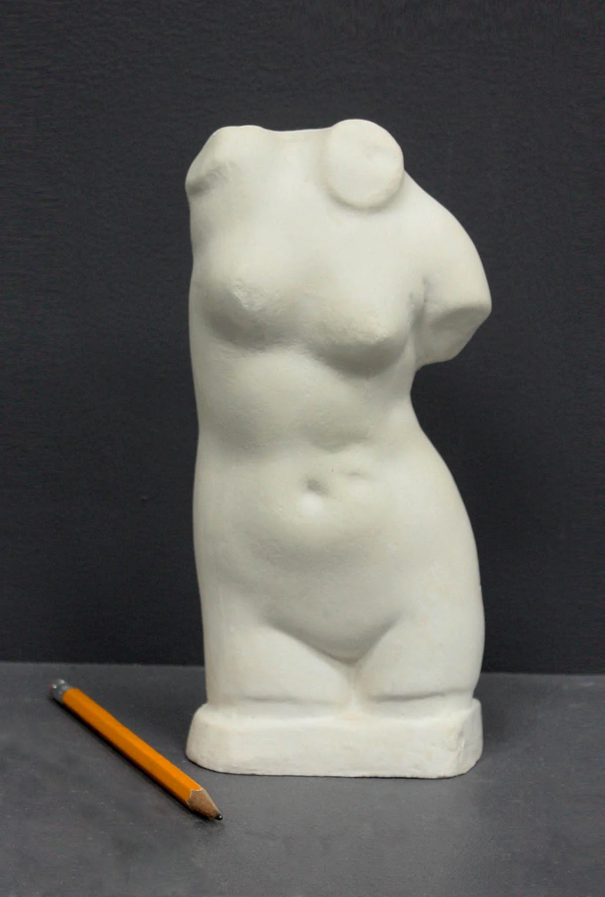 Female Torso - Item #631