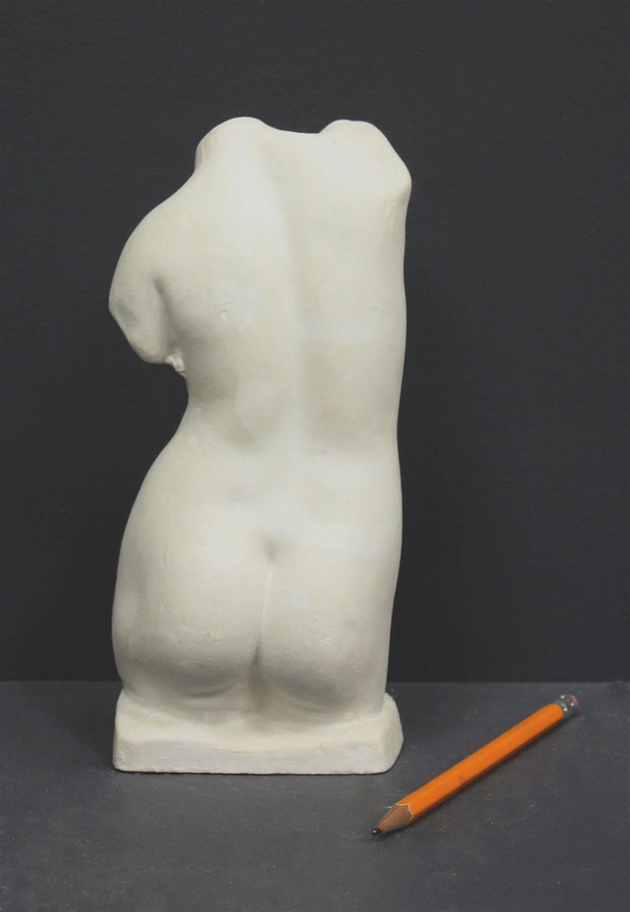 Female Torso - Item #631 - Image 3