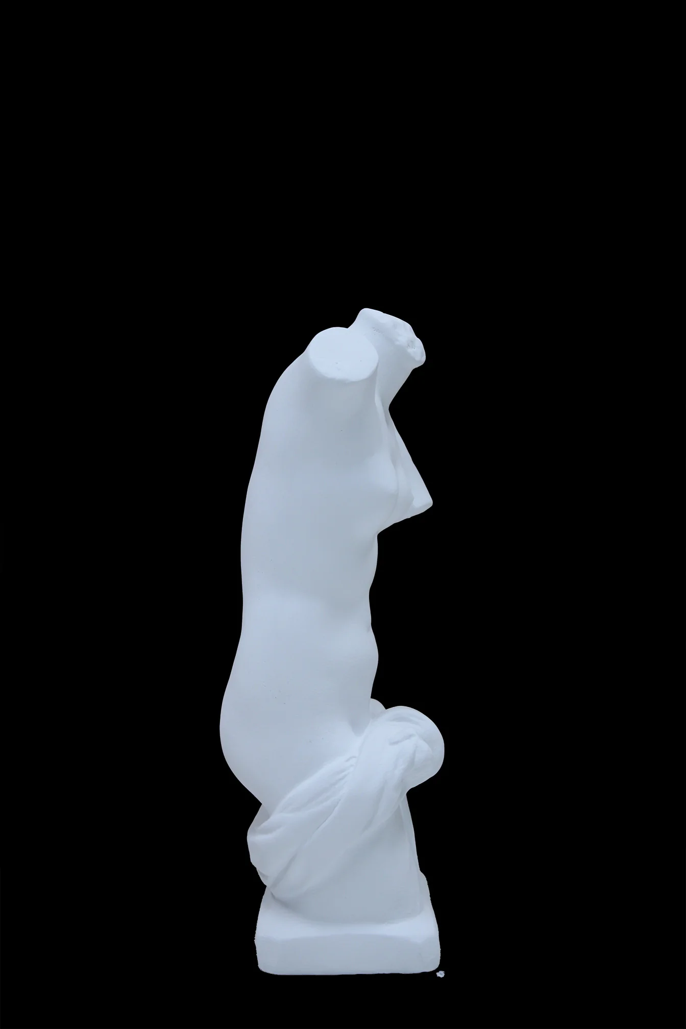 Female Torso - Item #64 - Image 17