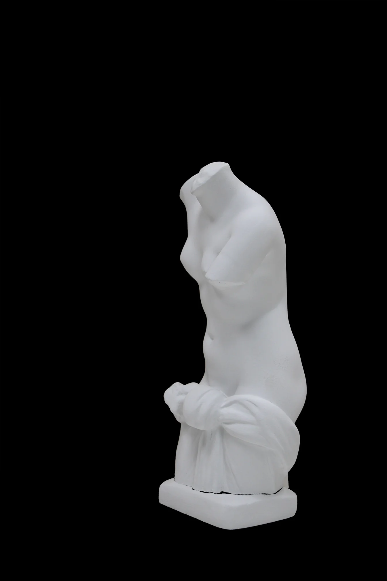 Female Torso - Item #64 - Image 6