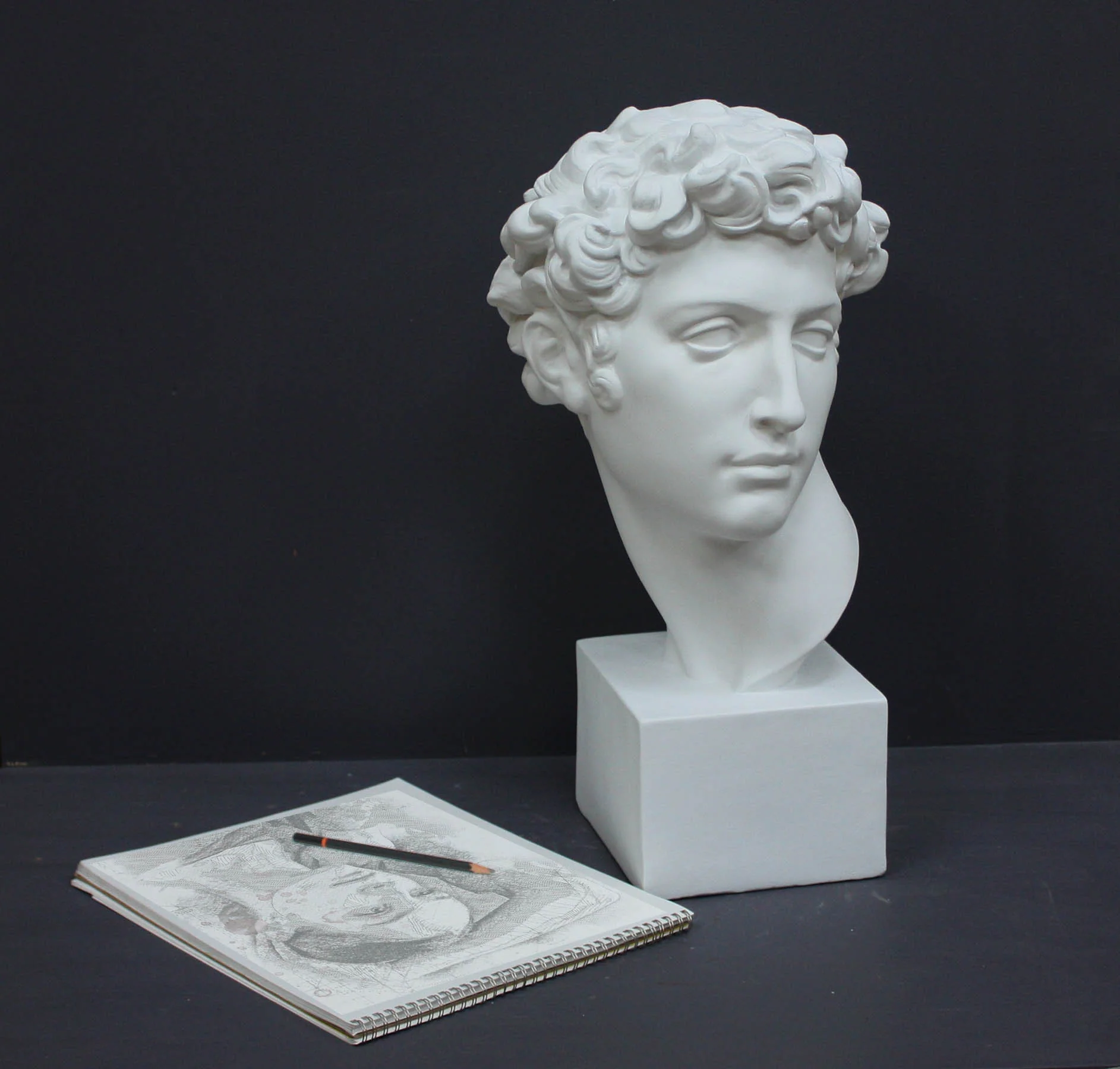 Giuliano De Medici - Item #101 - Image 12