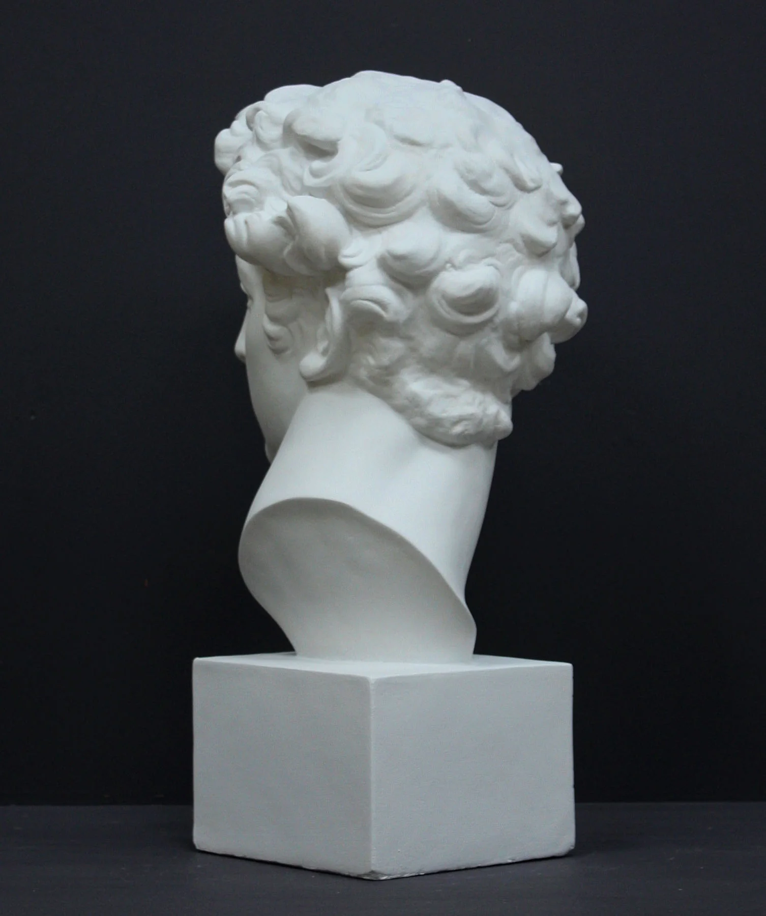 Giuliano De Medici - Item #101 - Image 4