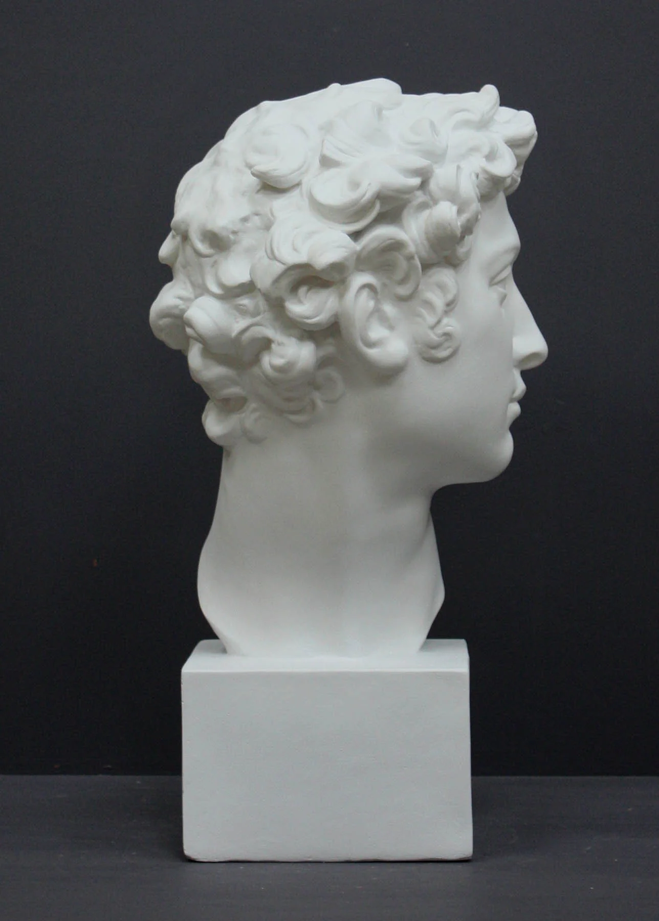 Giuliano De Medici - Item #101 - Image 7