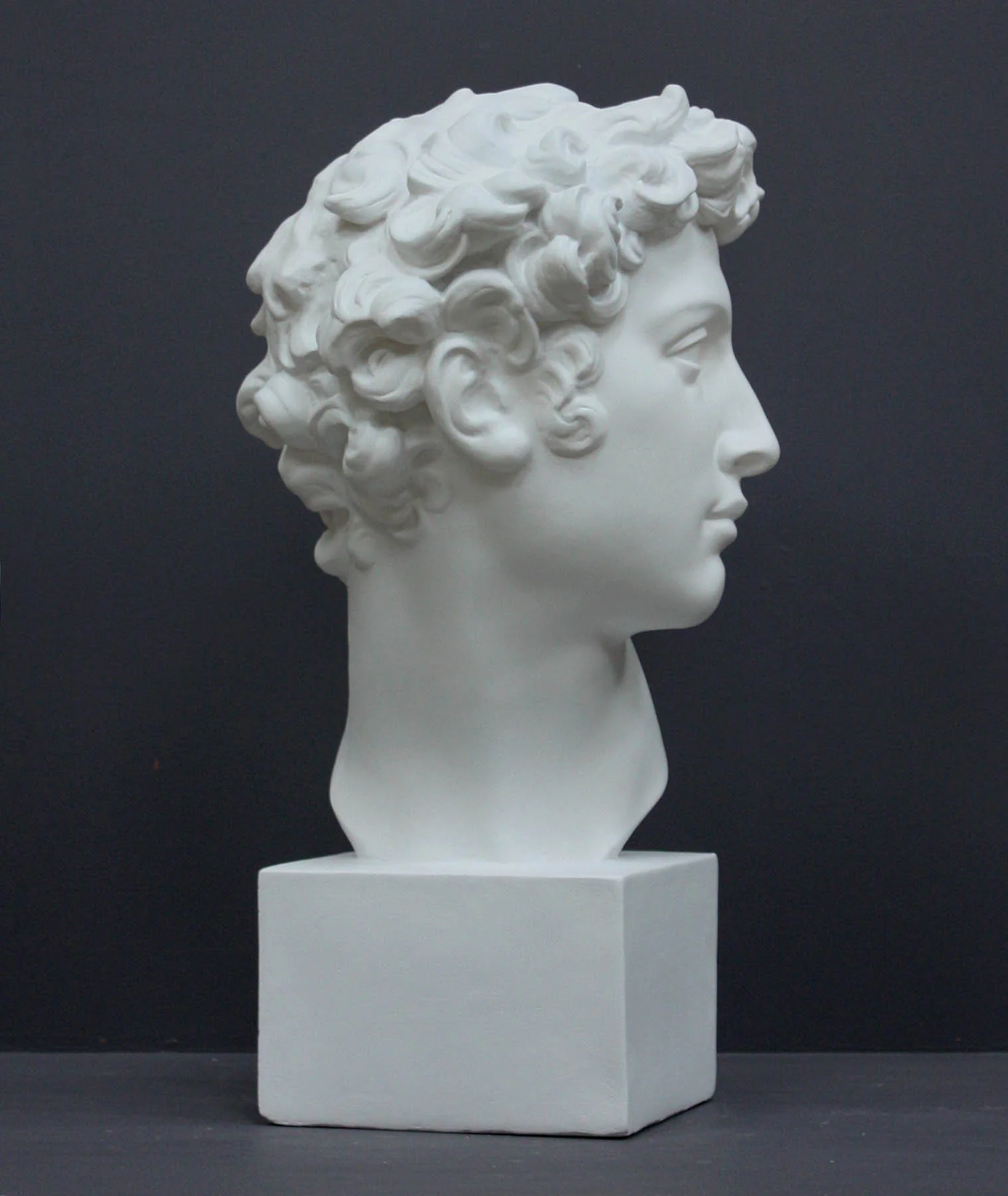 Giuliano De Medici - Item #101 - Image 8