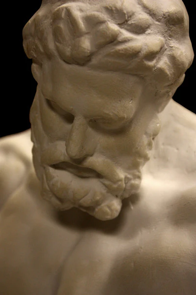 Hercules - Item #664 - Image 4