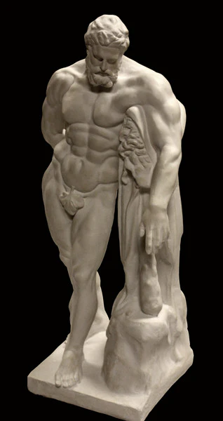 Hercules - Item #664 - Image 5