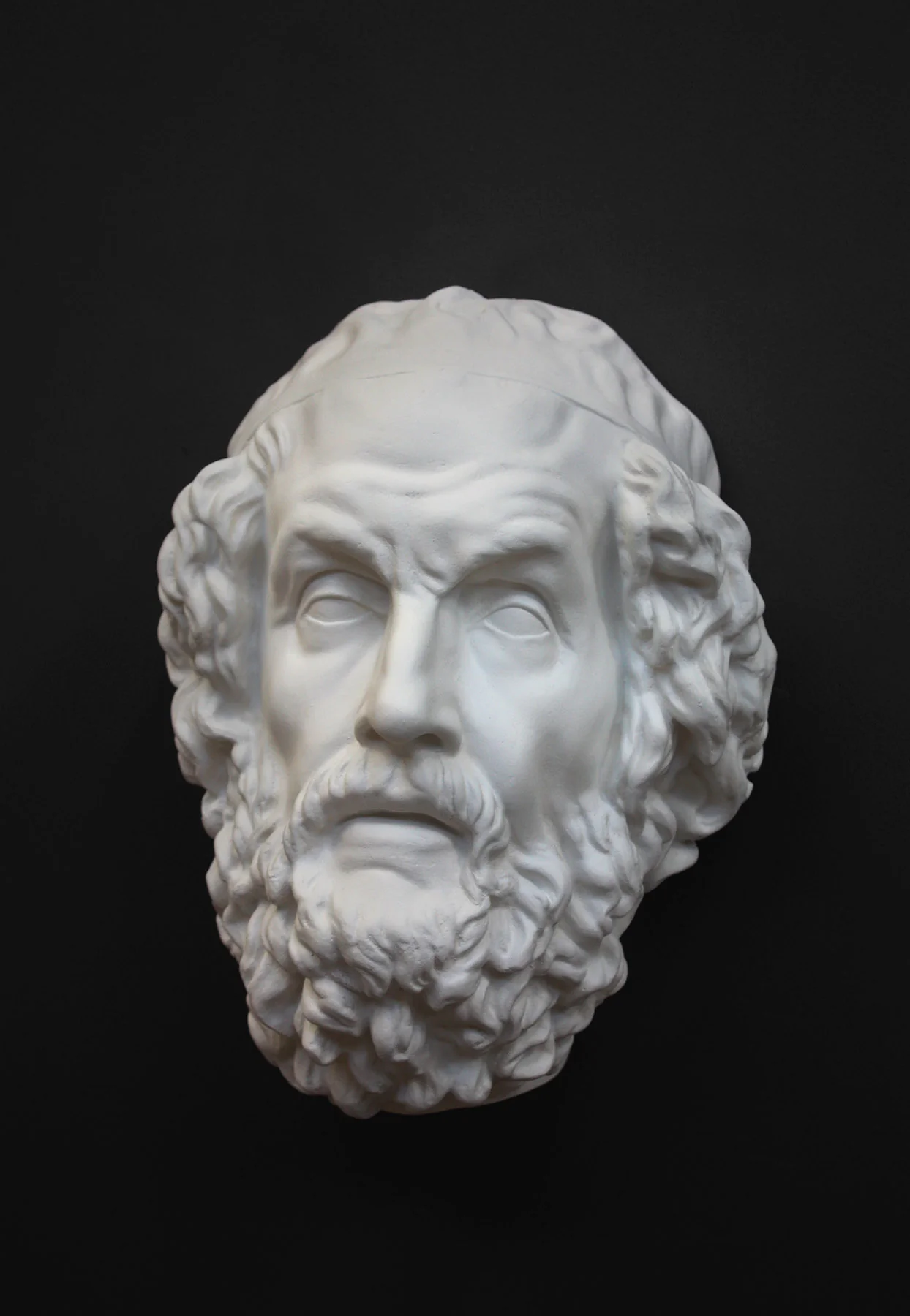 Homer Mask - Item #307 - Image 2