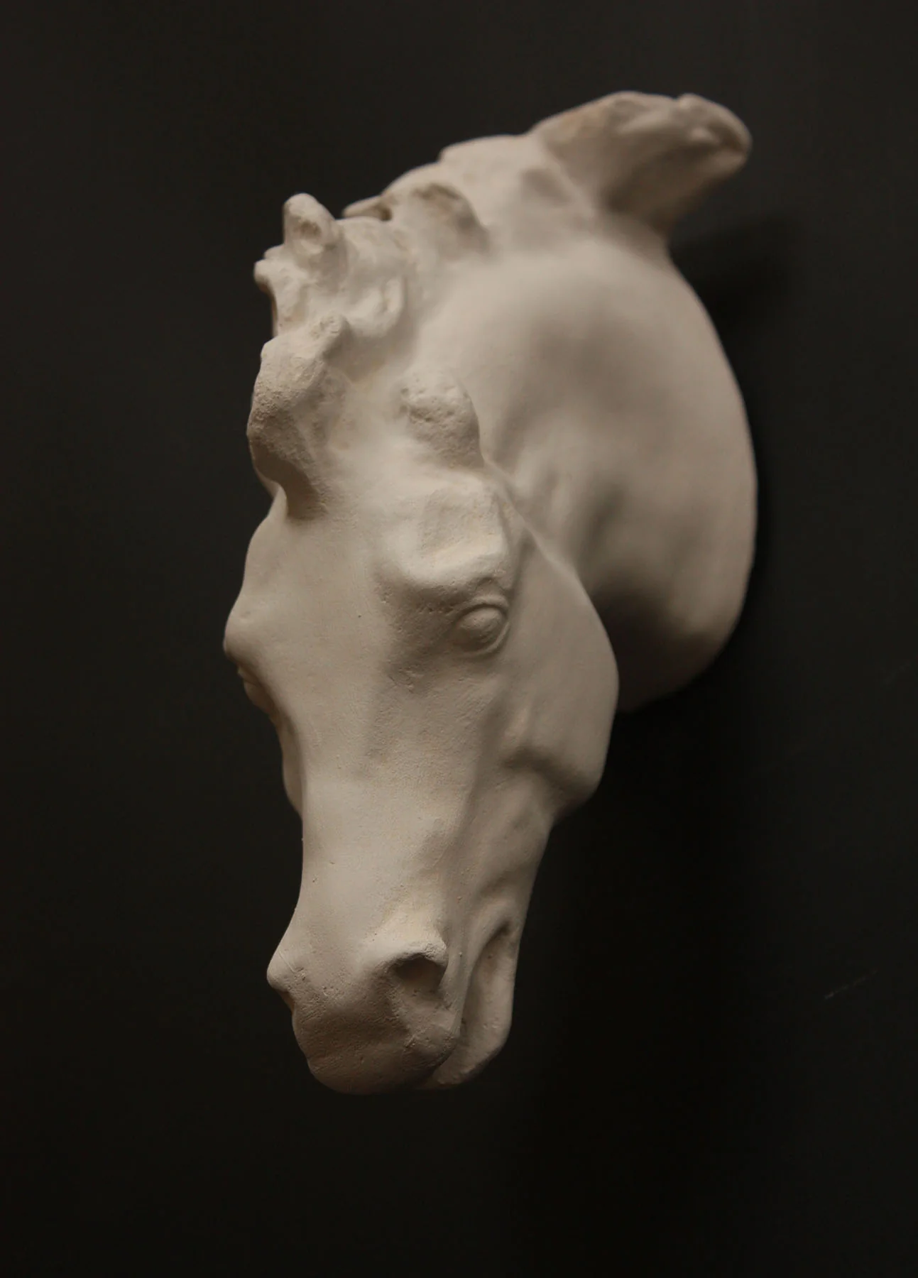 Horse - Item #702 - Image 2