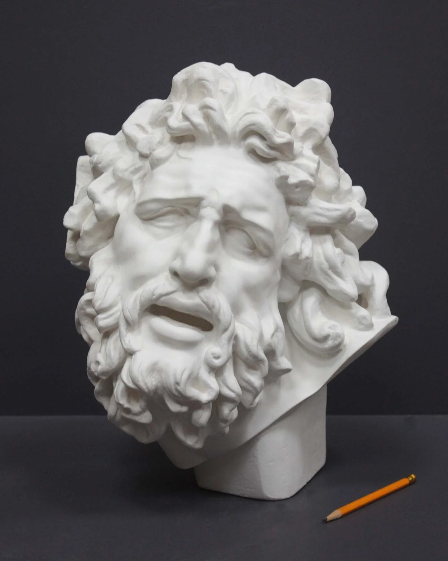 Laocoon Head - Item #61
