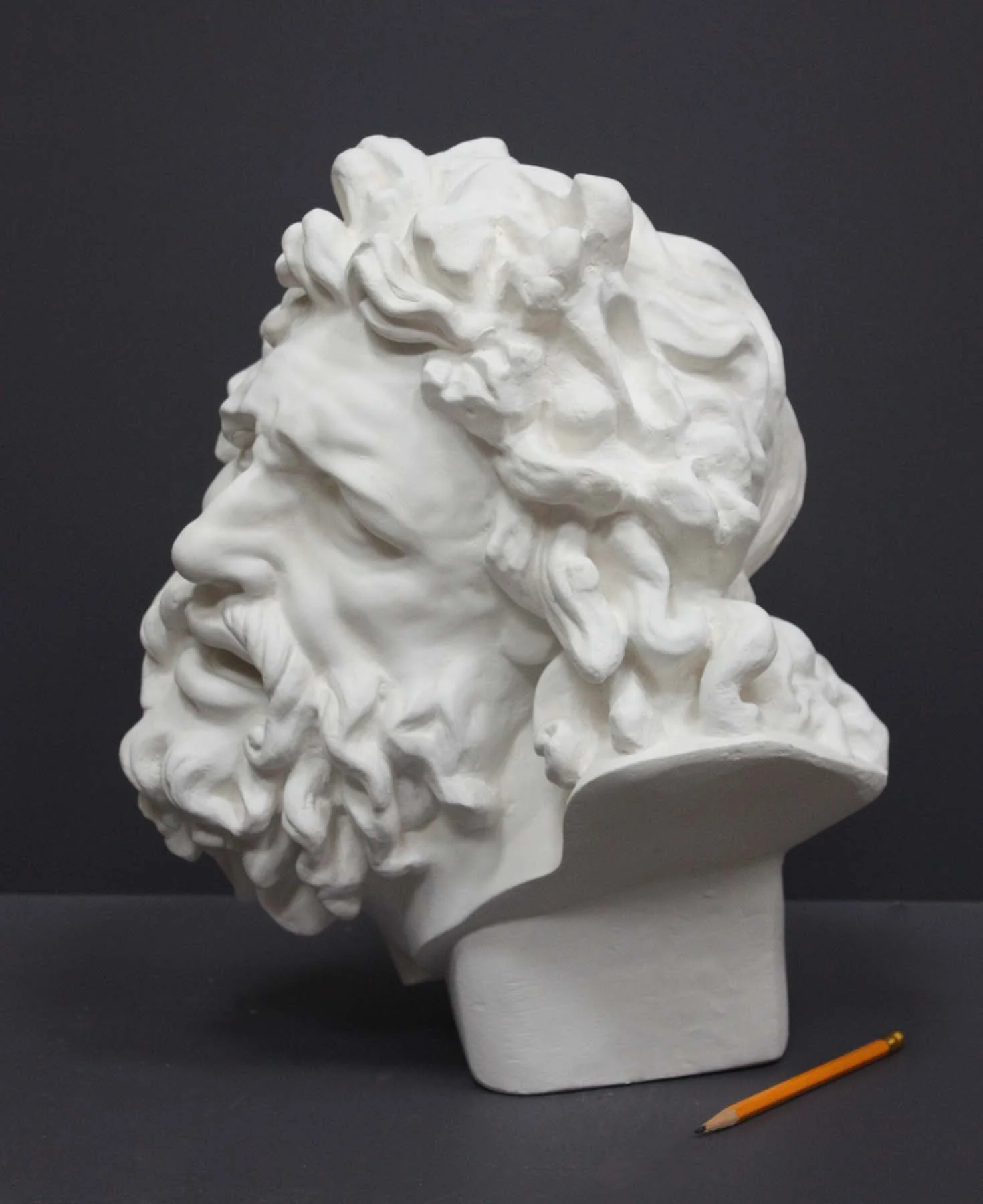 Laocoon Head - Item #61 - Image 2