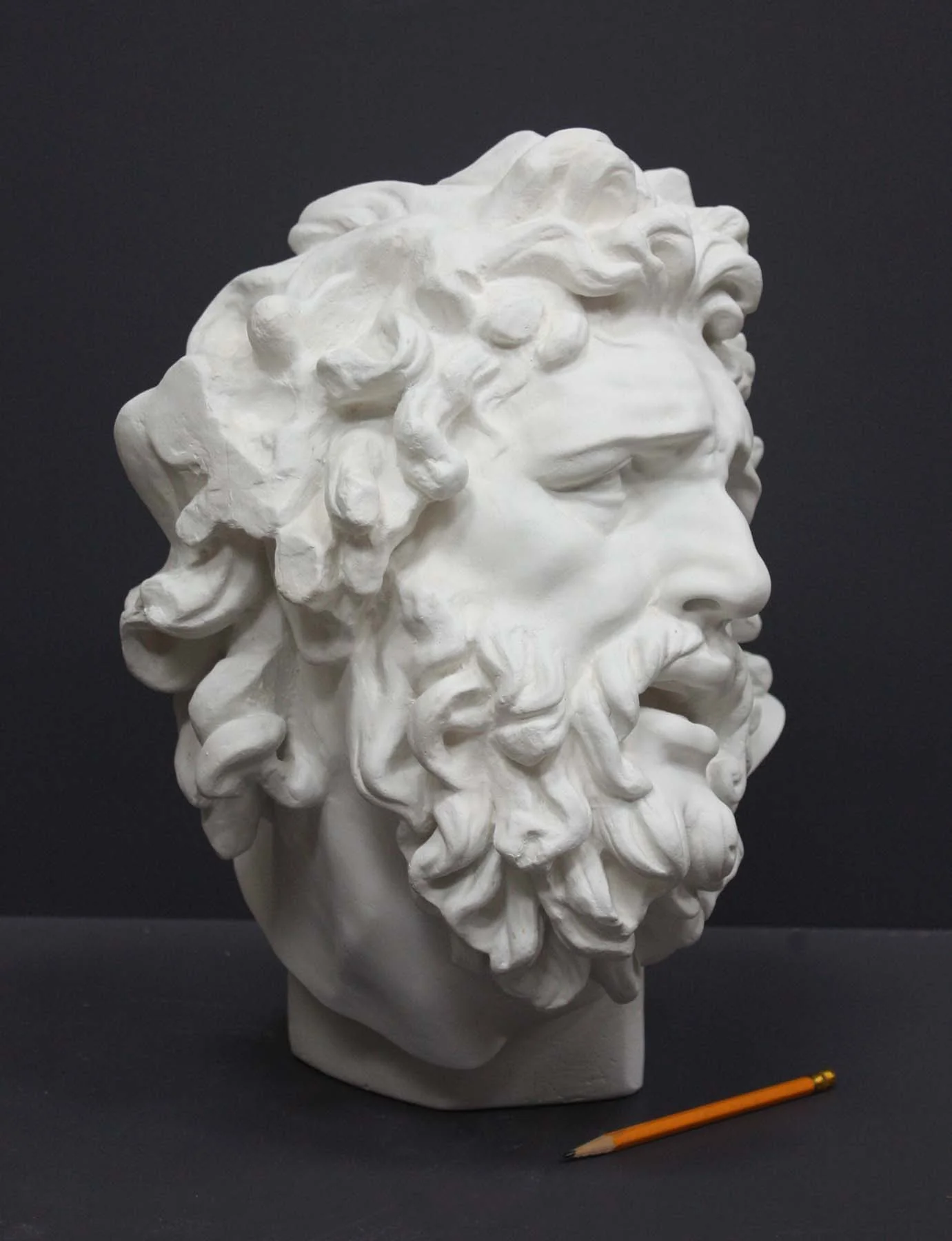 Laocoon Head - Item #61 - Image 3