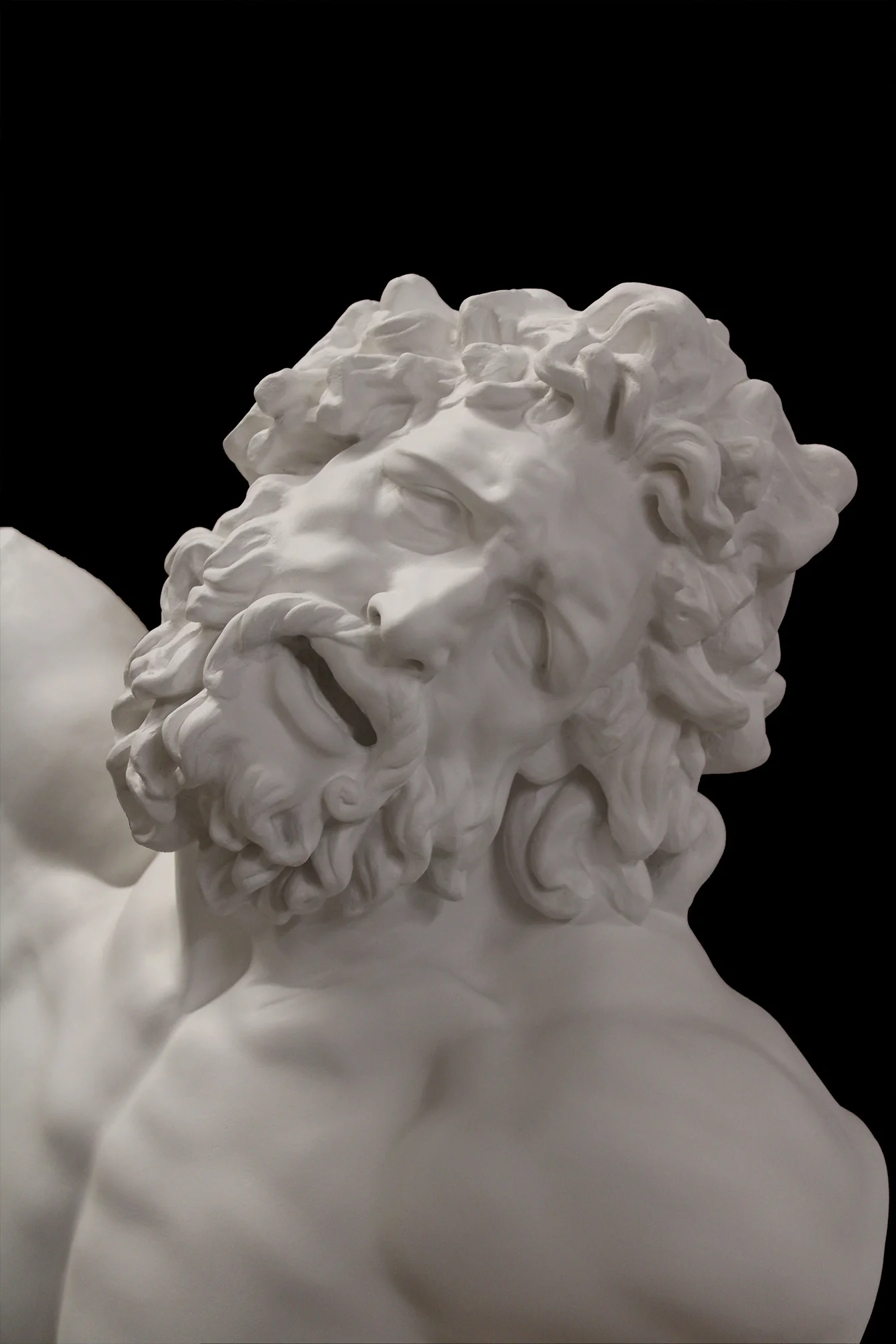 Laocoon - Item #62 - Image 10