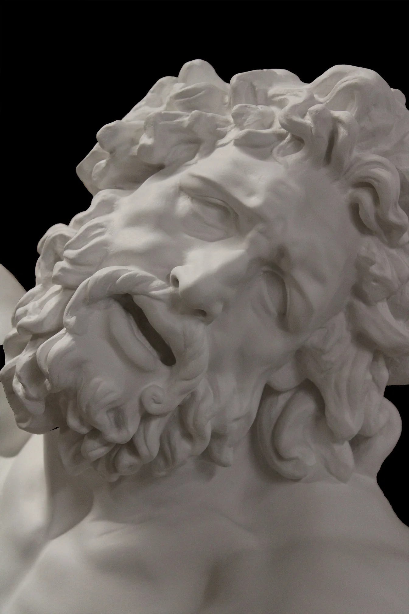 Laocoon - Item #62 - Image 11