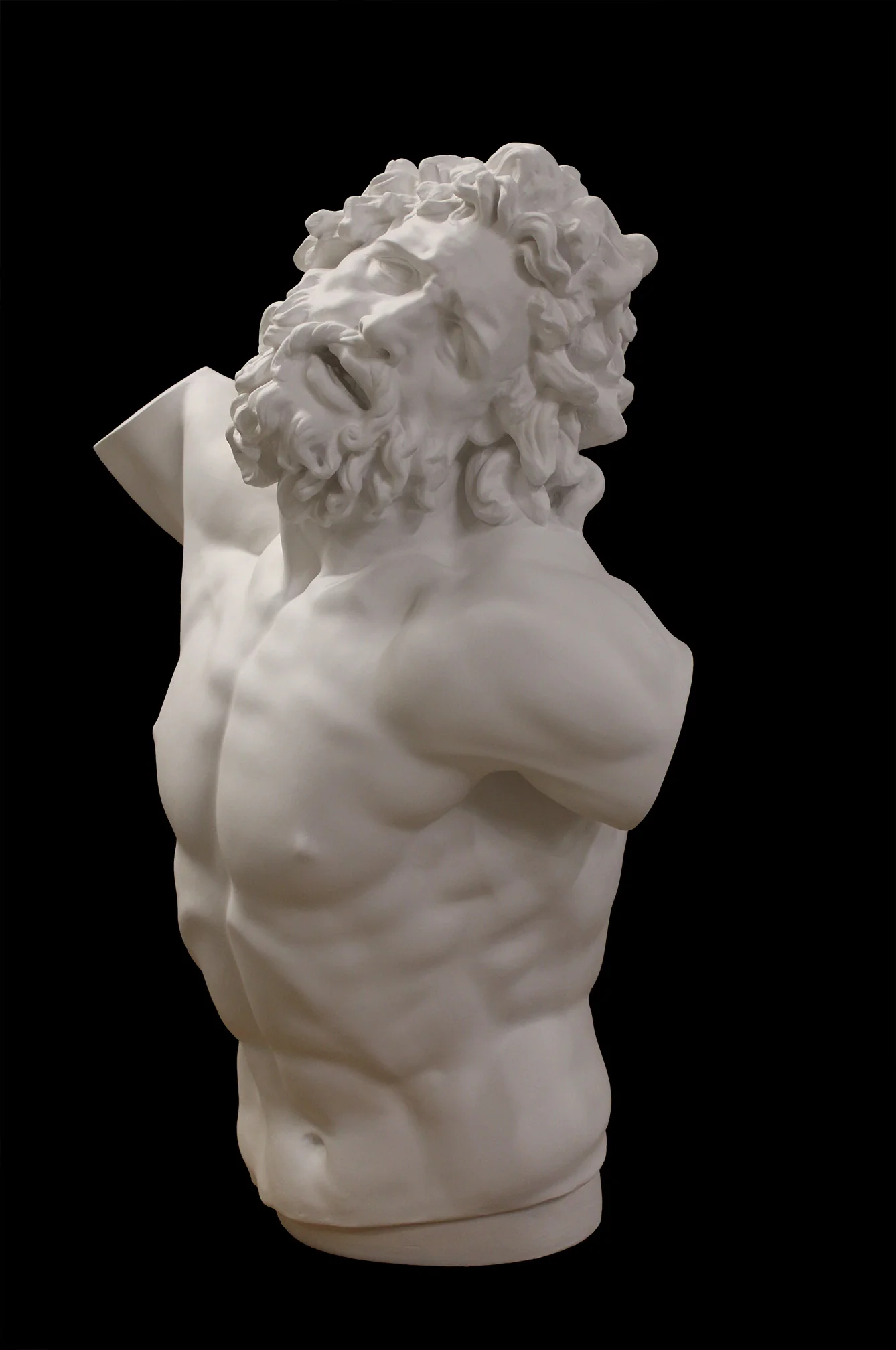 Laocoon - Item #62 - Image 4