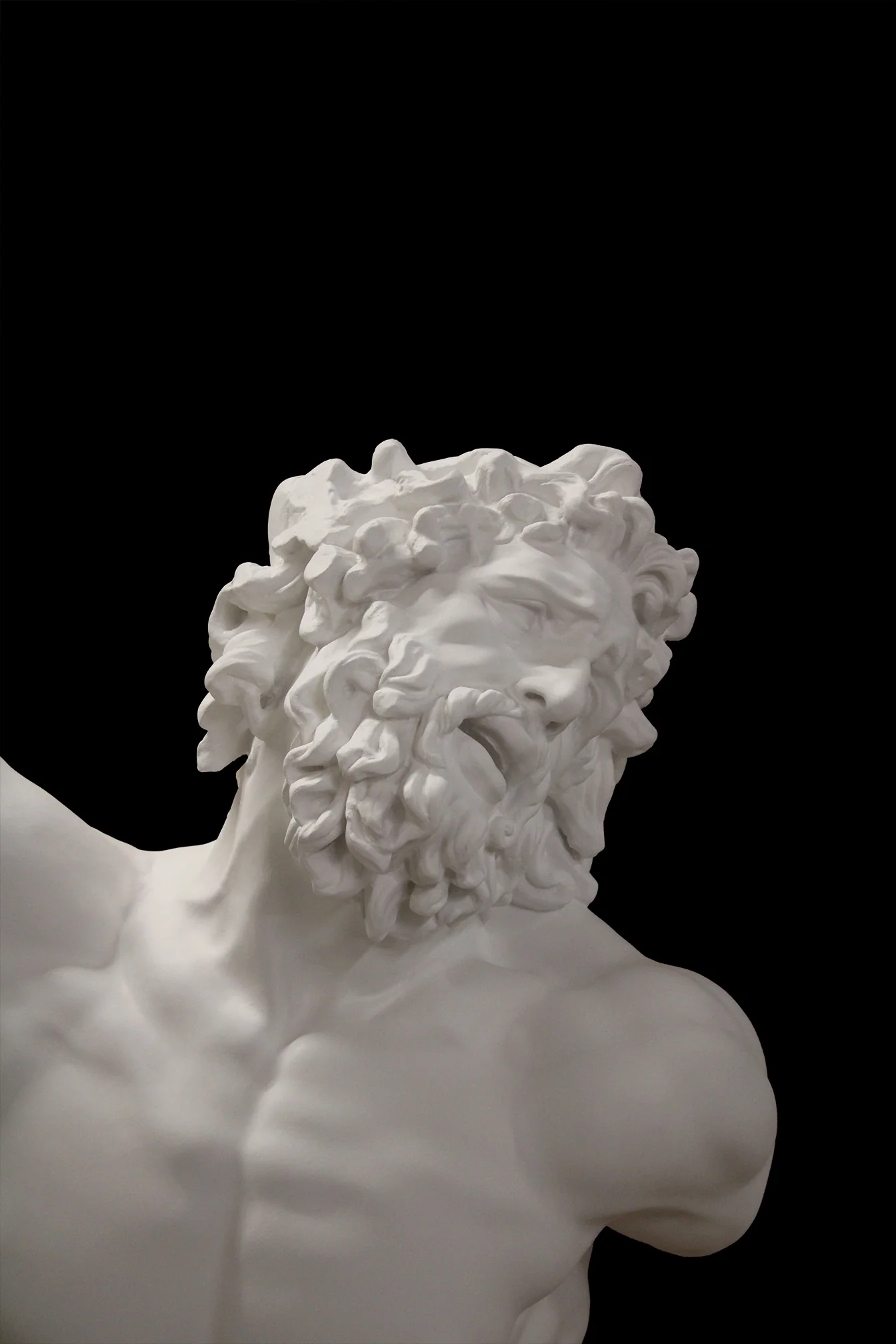 Laocoon - Item #62 - Image 7