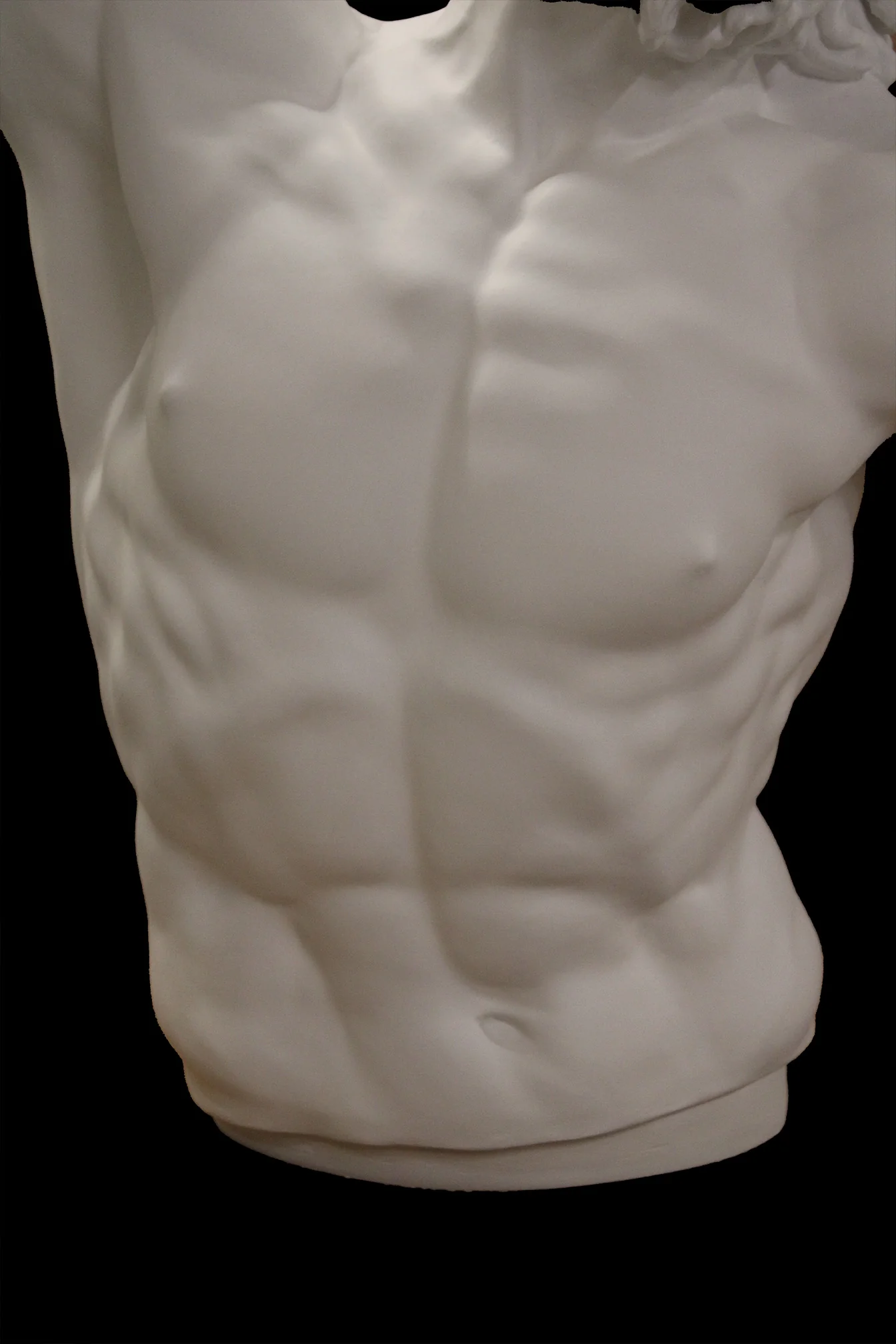 Laocoon - Item #62 - Image 8