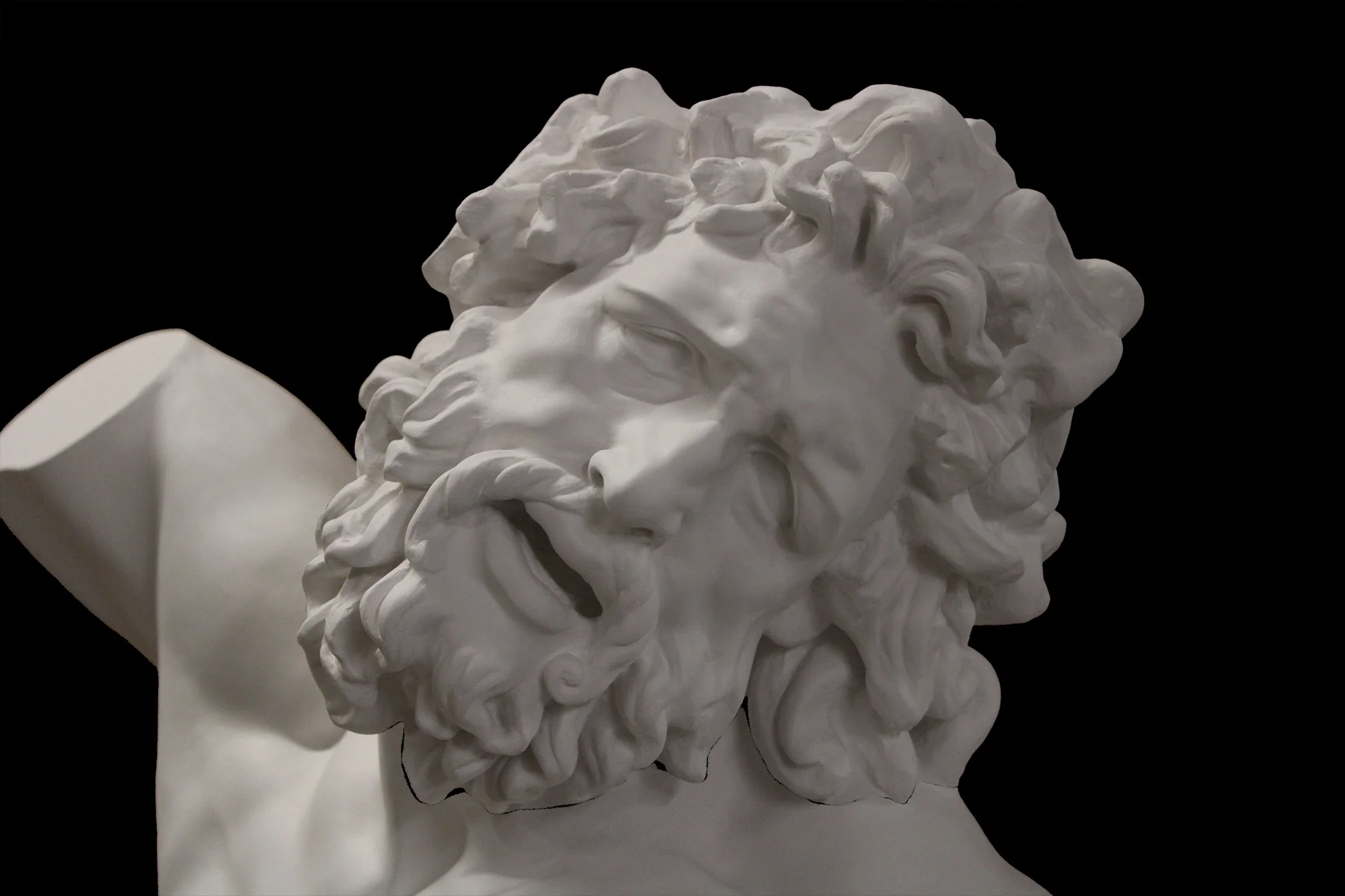 Laocoon - Item #62 - Image 9