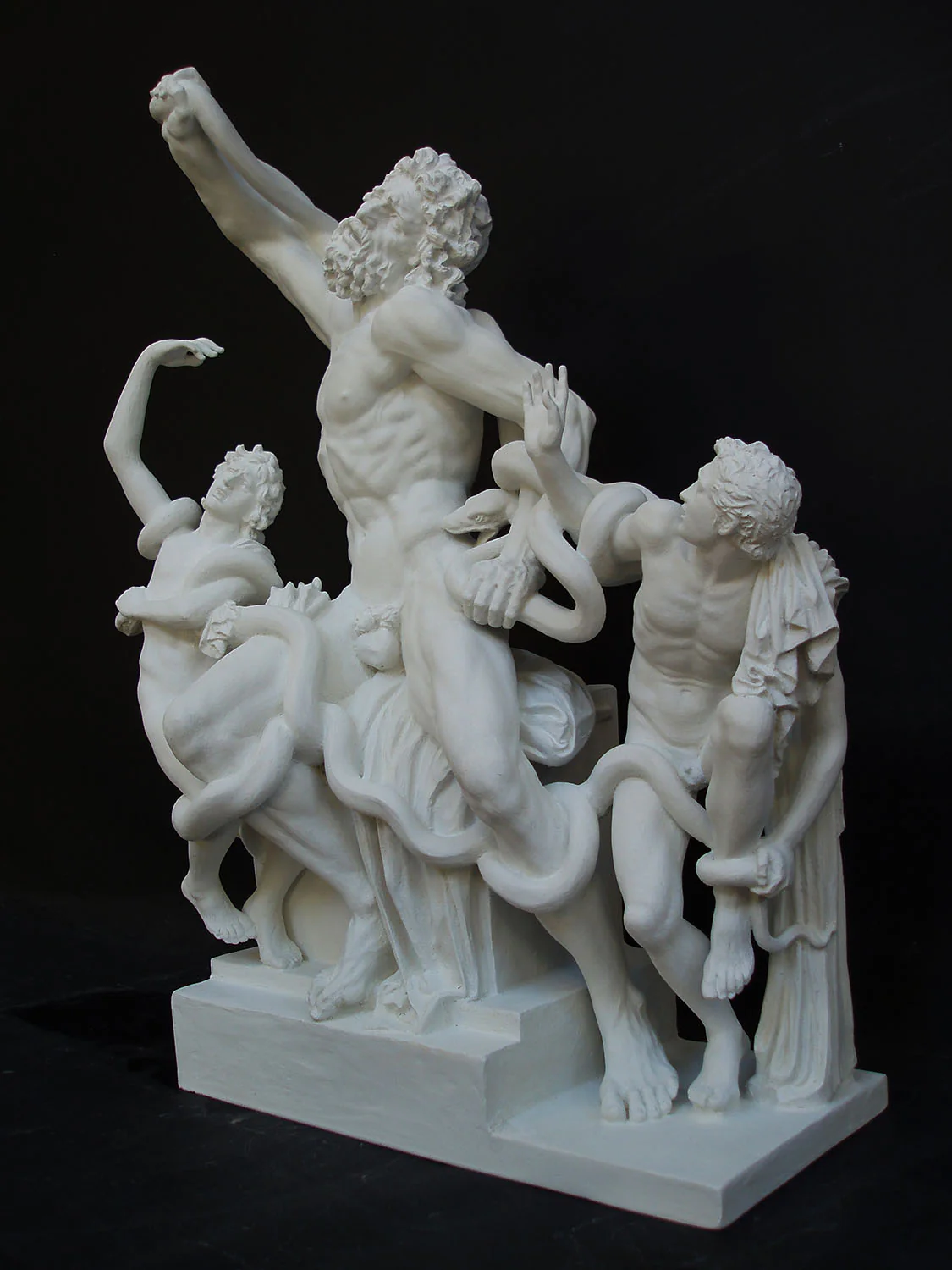 Laocoon Reduction - Item #824 - Image 2
