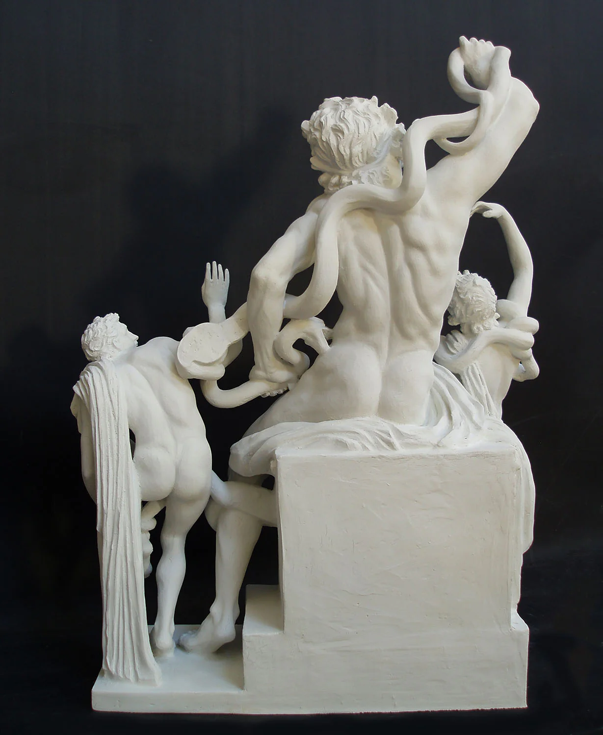Laocoon Reduction - Item #824 - Image 3