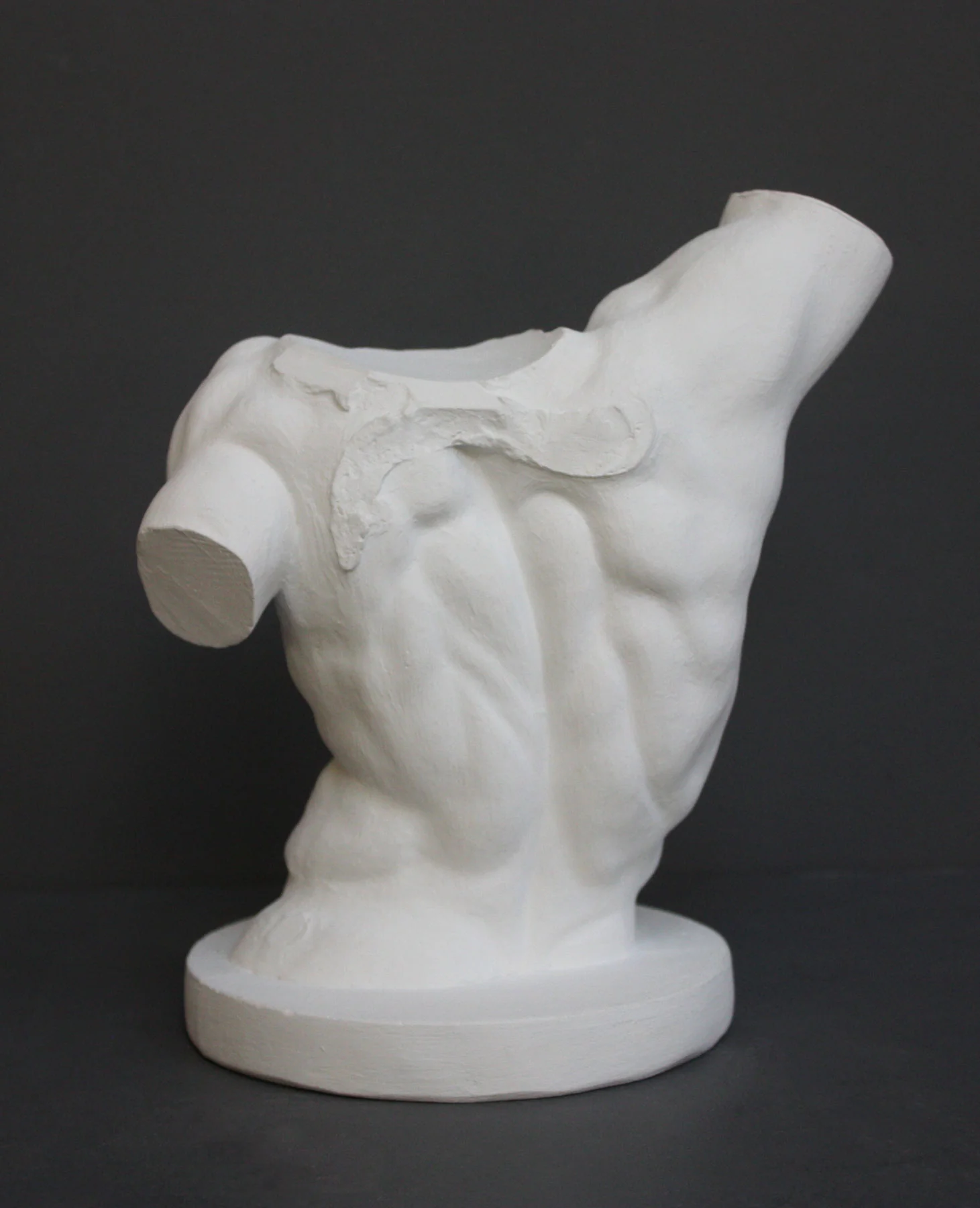 Laocoon Reduction Torso - Item #777 - Image 2