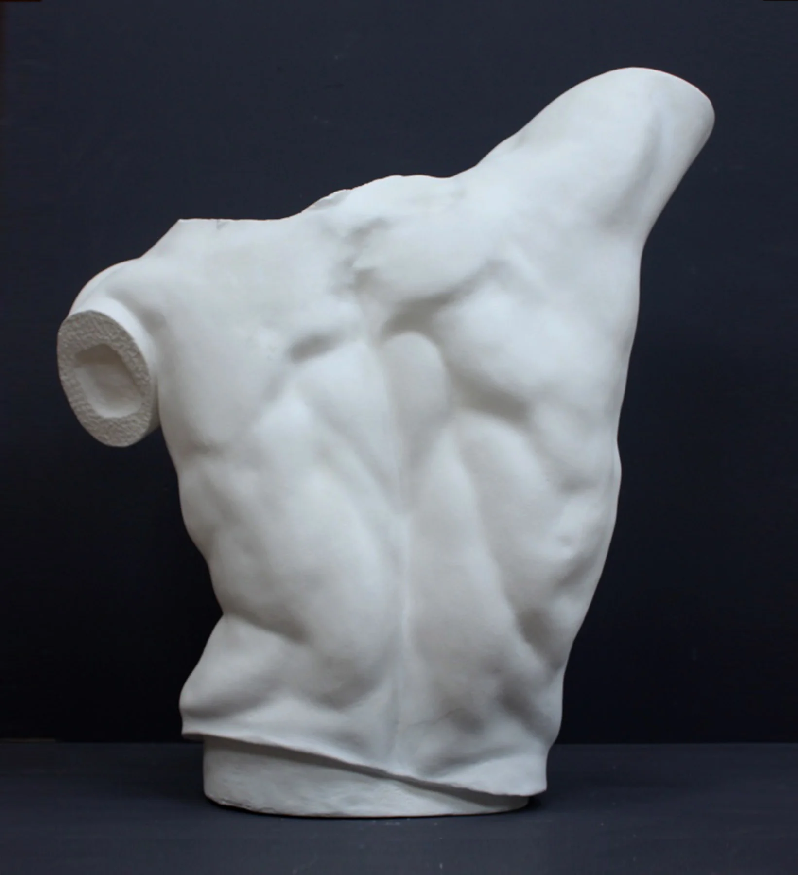 Laocoon Torso - Item #135 - Image 4