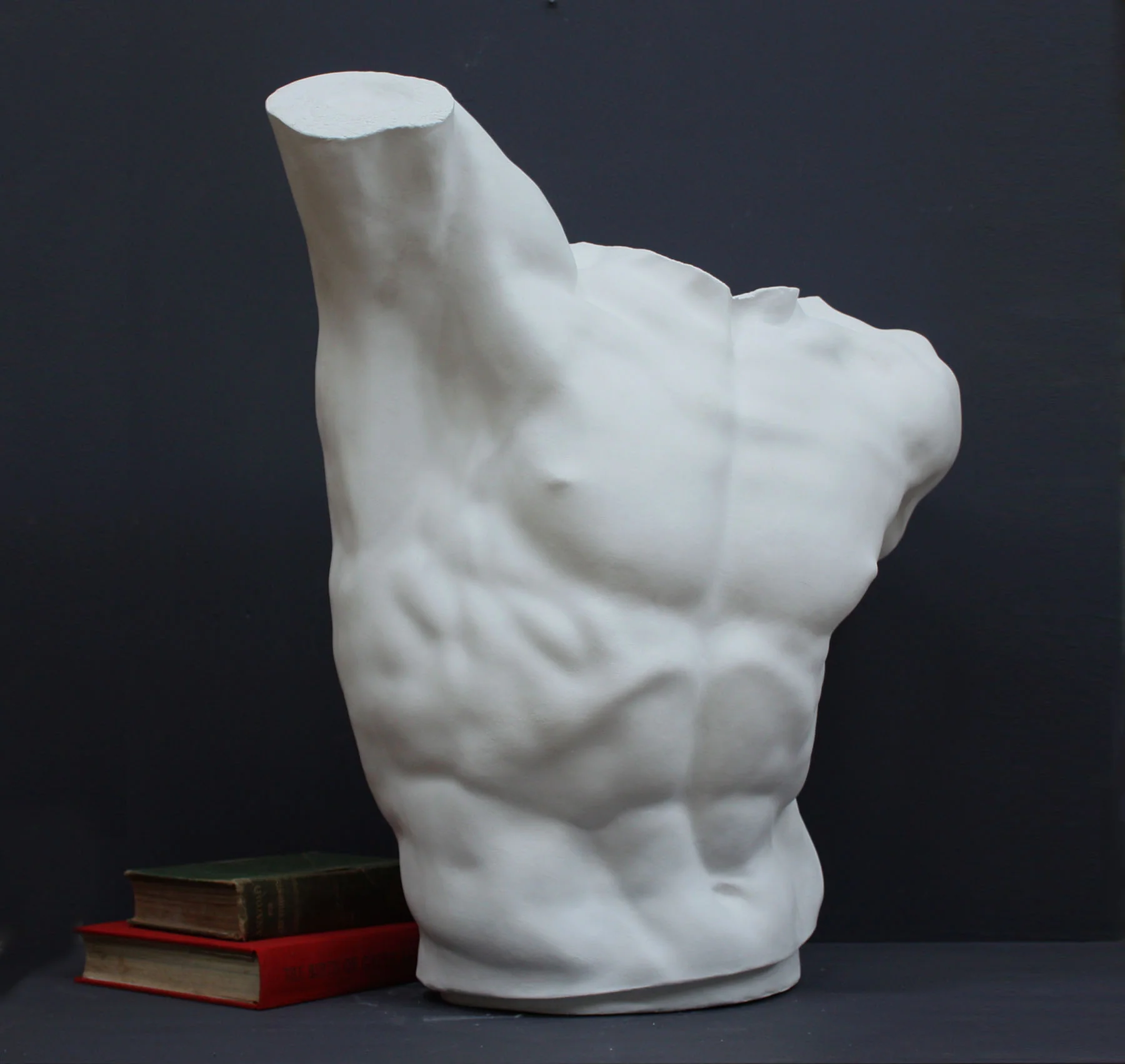 Laocoon Torso - Item #135 - Image 5
