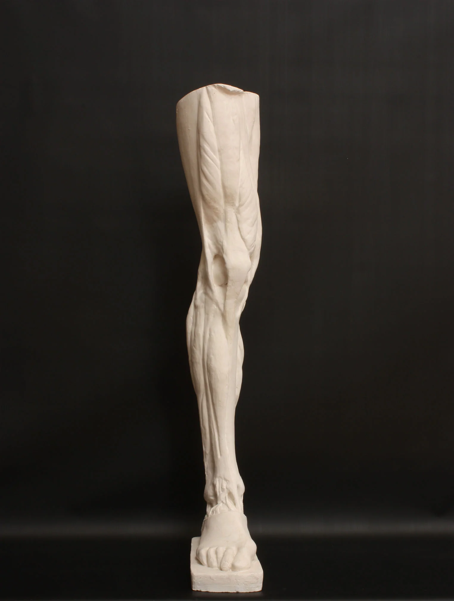 Leg, Right - Item #402 - Image 2