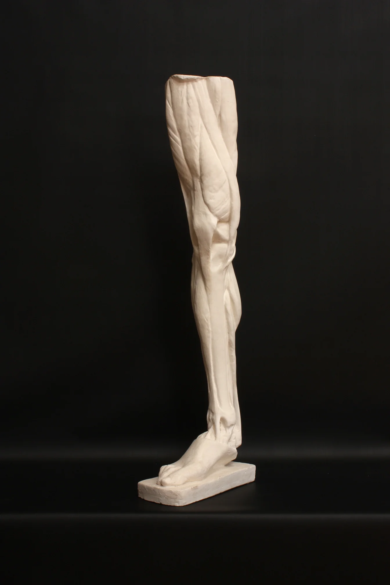Leg, Right - Item #402 - Image 3